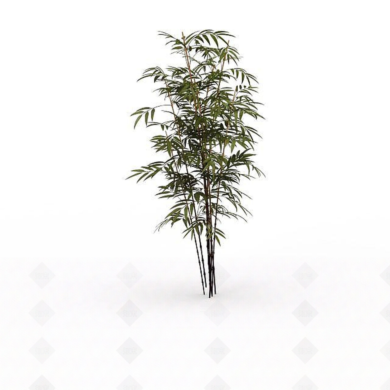 现代庭院竹子3D模型下载【ID:1198033489】
