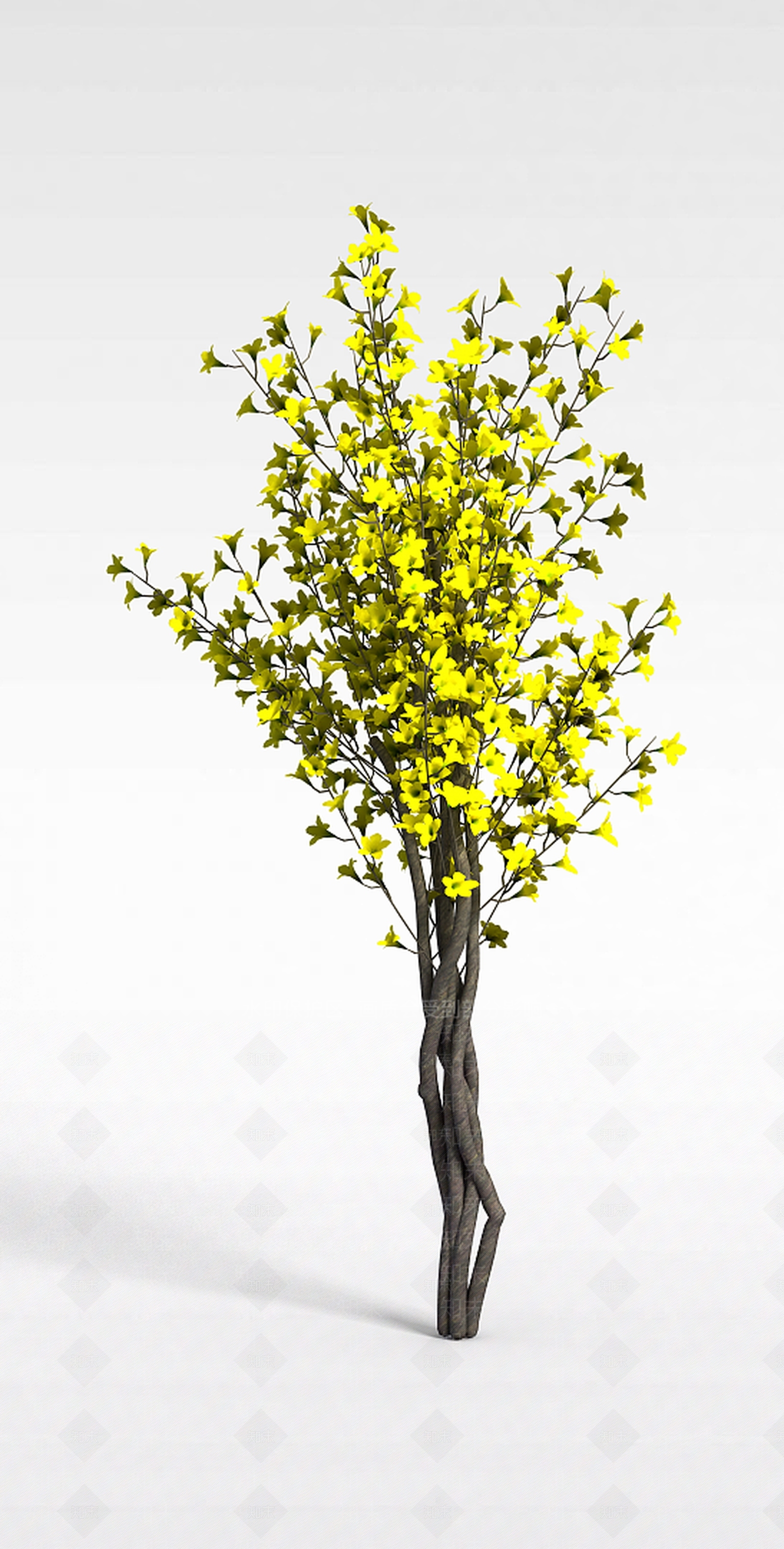 现代装饰花树3D模型下载【ID:1198035143】