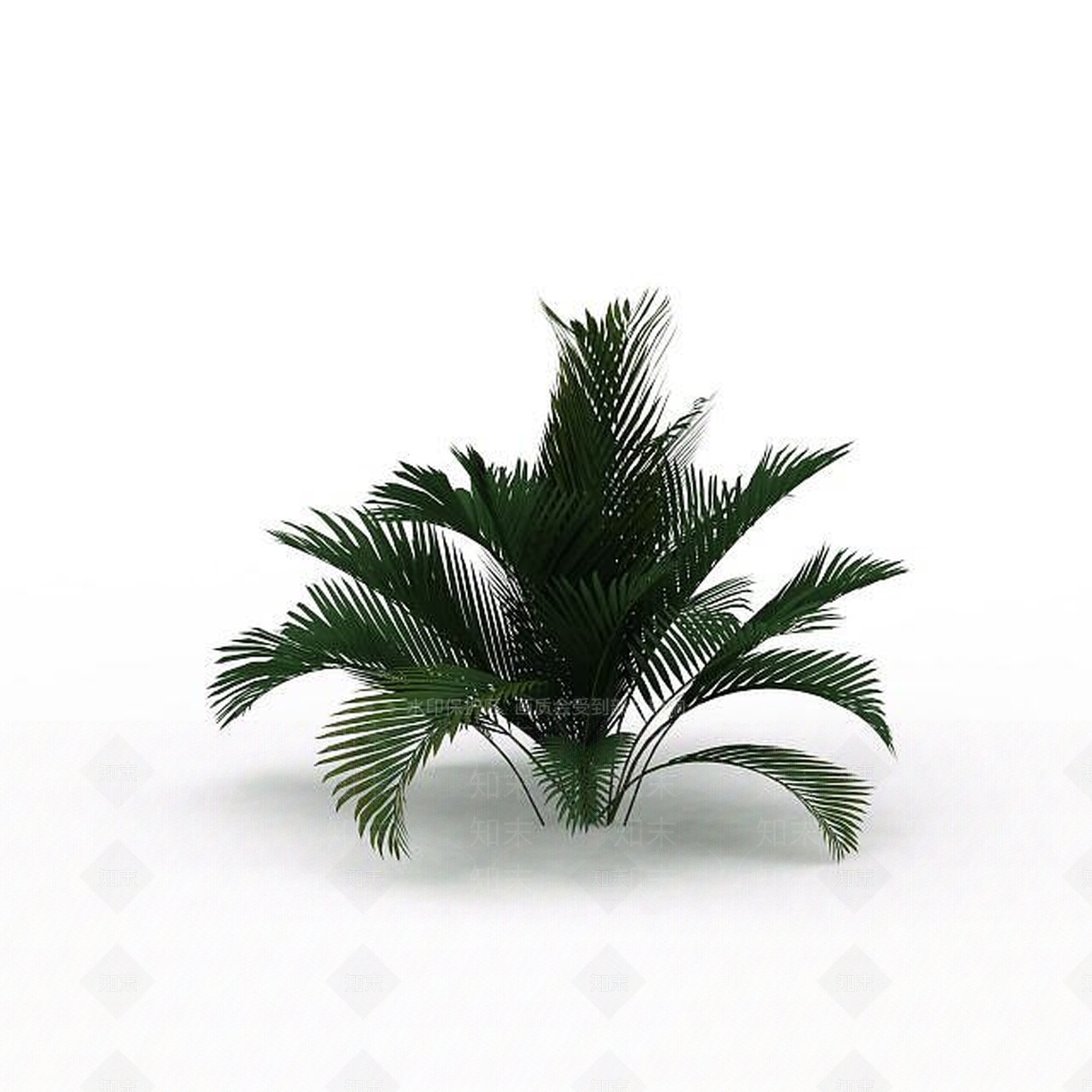 现代椰子树3D模型下载【ID:1198037402】