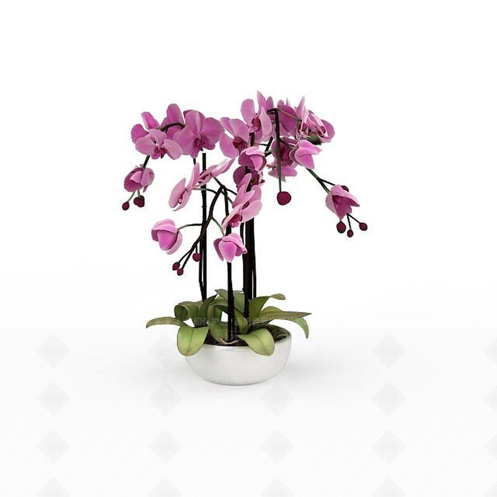现代蝴蝶兰3D模型下载【ID:1198040096】