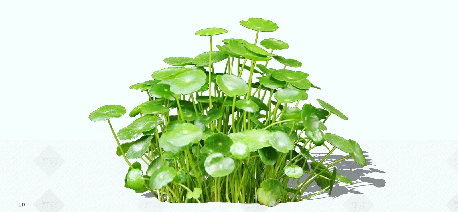 花草SU模型下载【ID:1198063791】