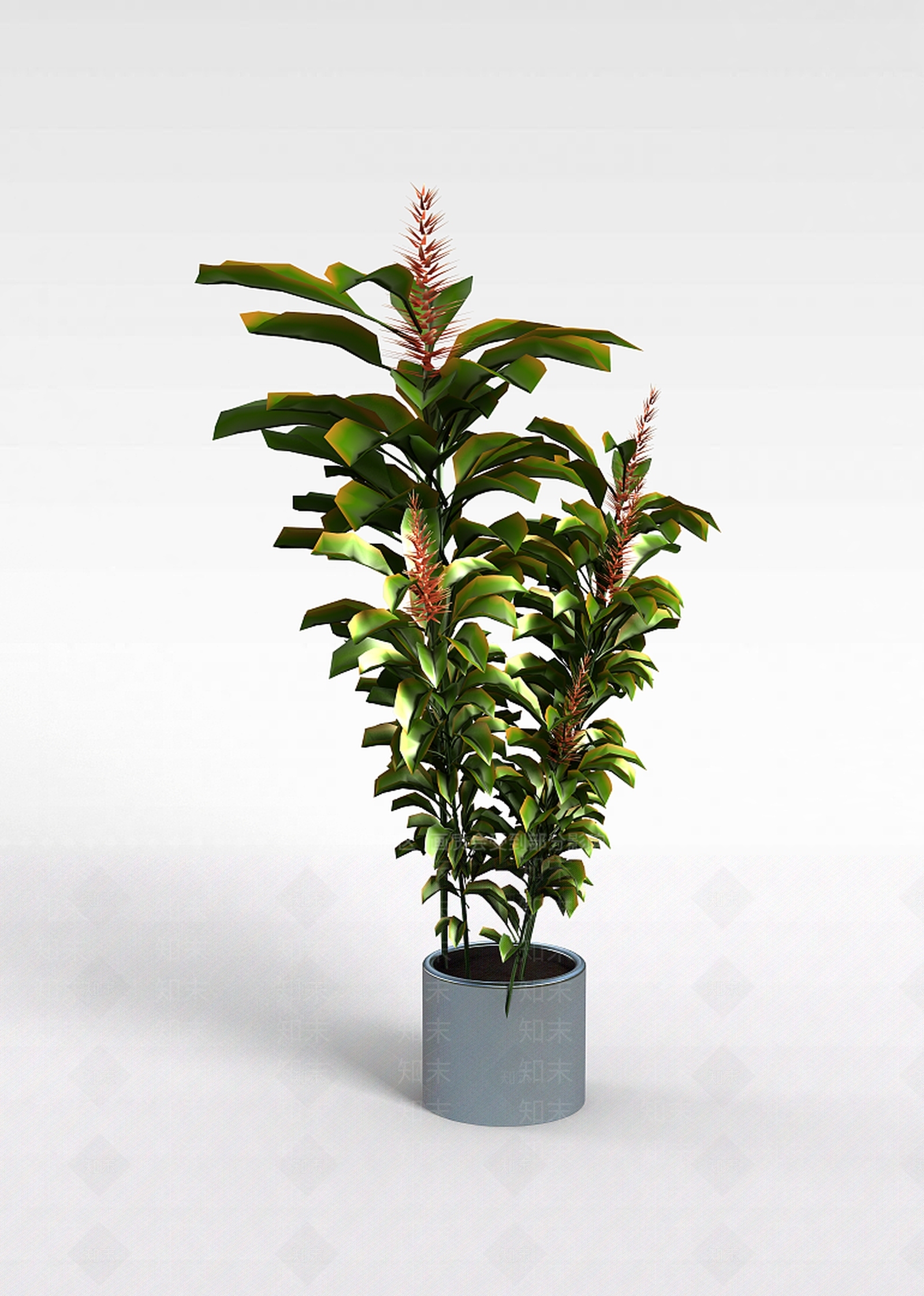 现代灌木3D模型下载【ID:1199773408】