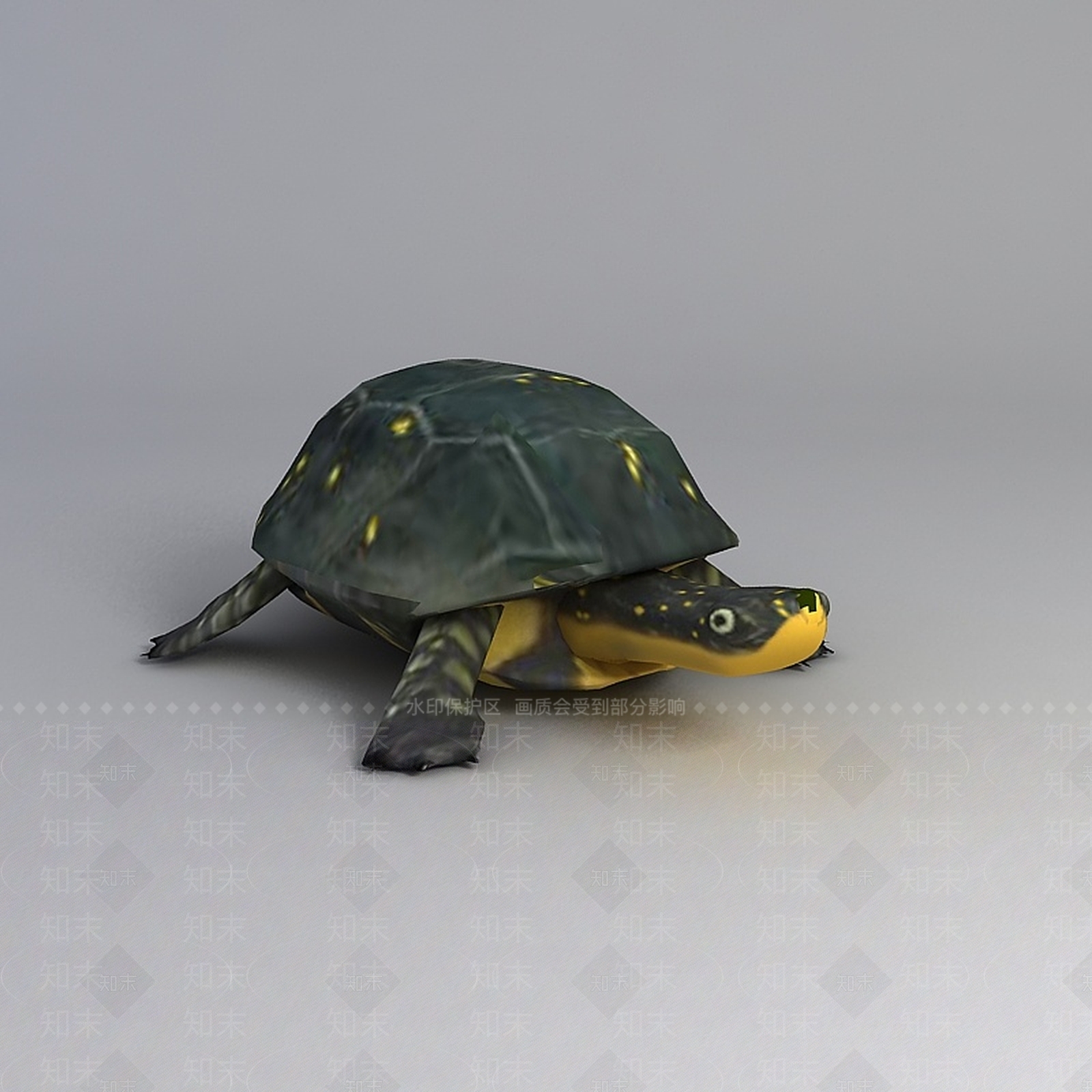 现代爬行类动物3D模型下载【ID:1198093594】