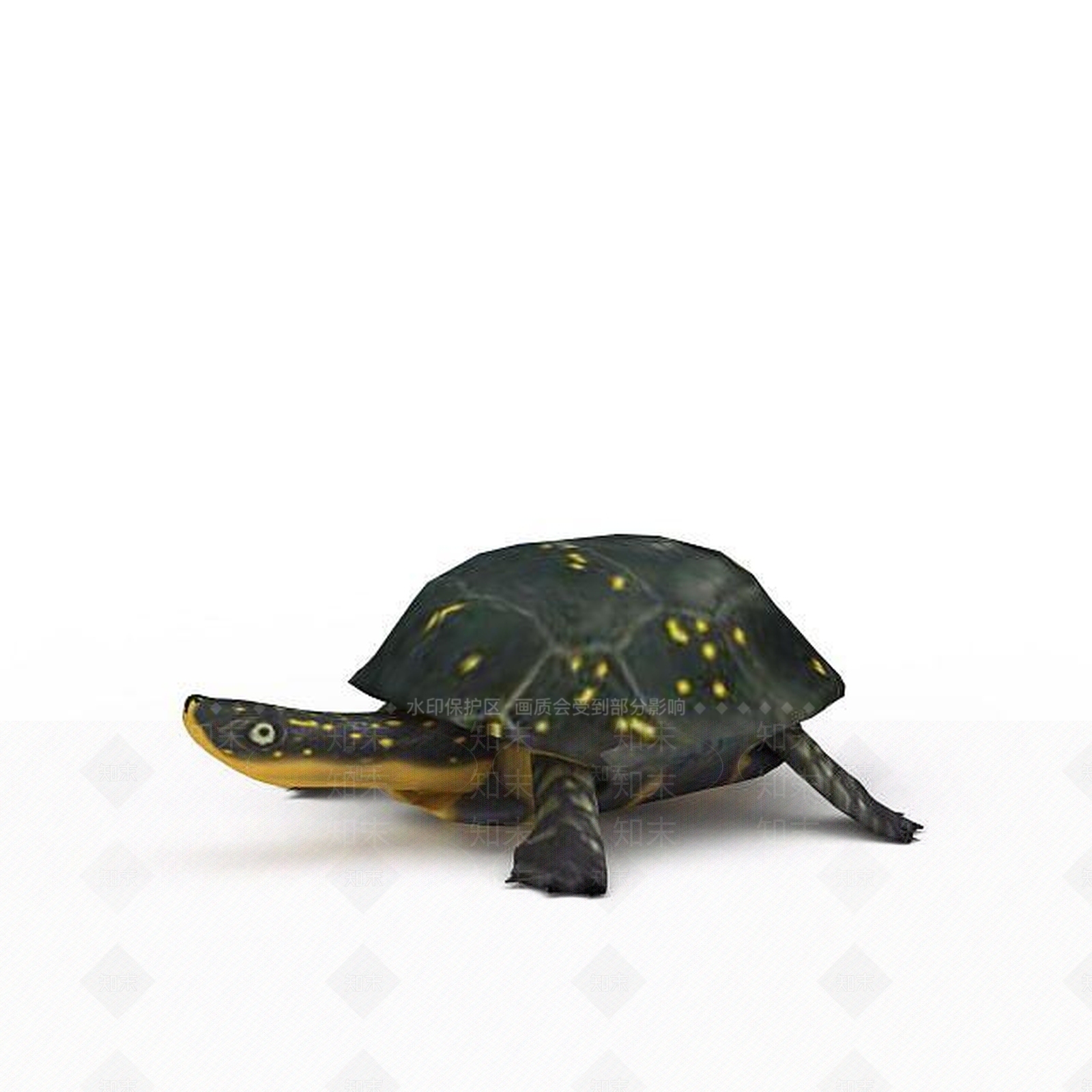 现代爬行类动物3D模型下载【ID:1198093594】
