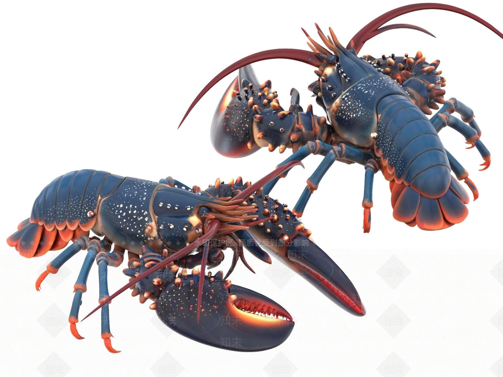 水生类动物3D模型下载【ID:1198107879】