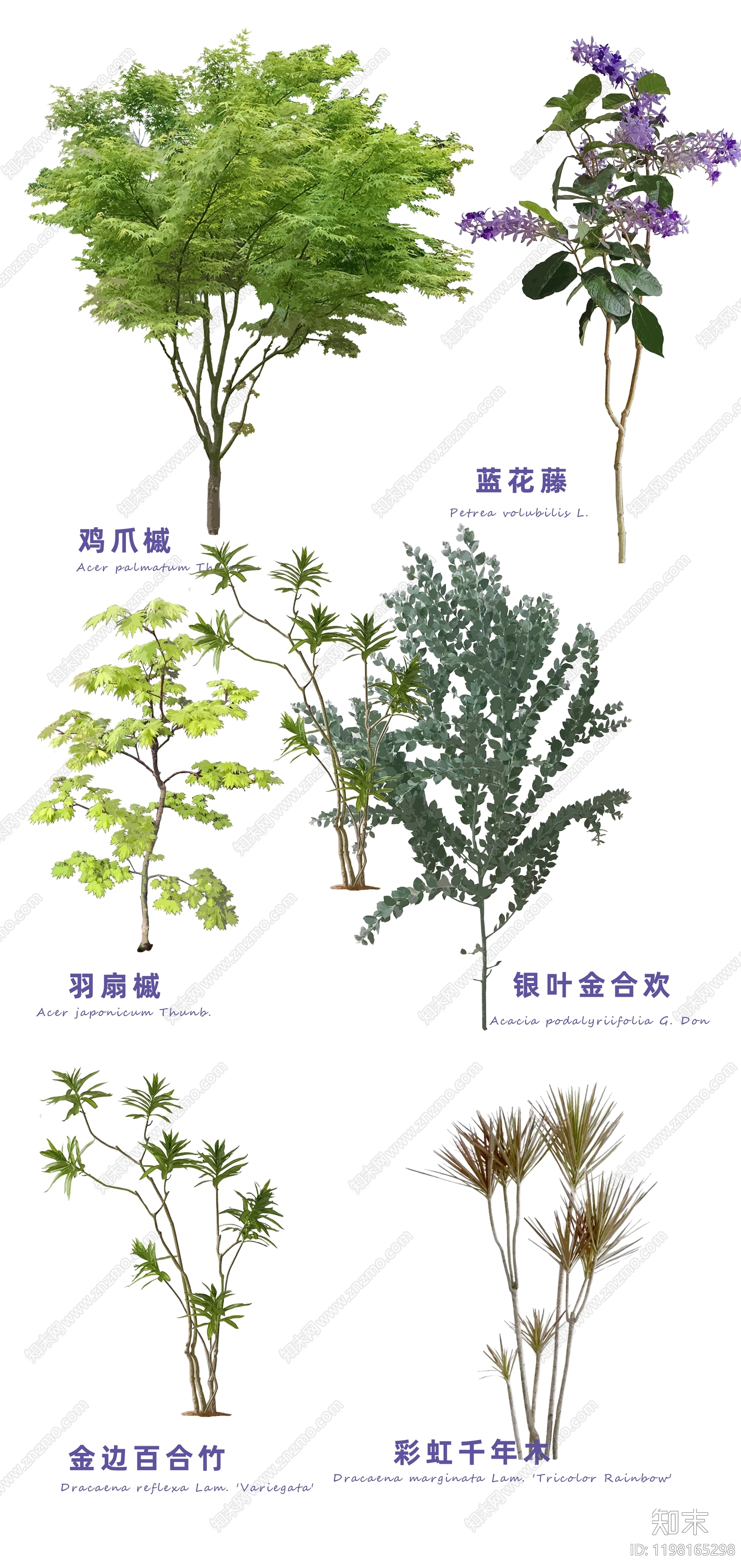 现代新中式乔木下载【ID:1198165298】
