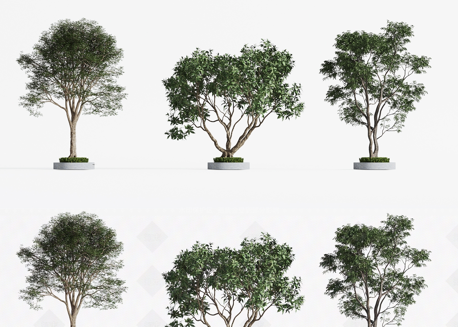 景观树3D模型下载【ID:1198165345】