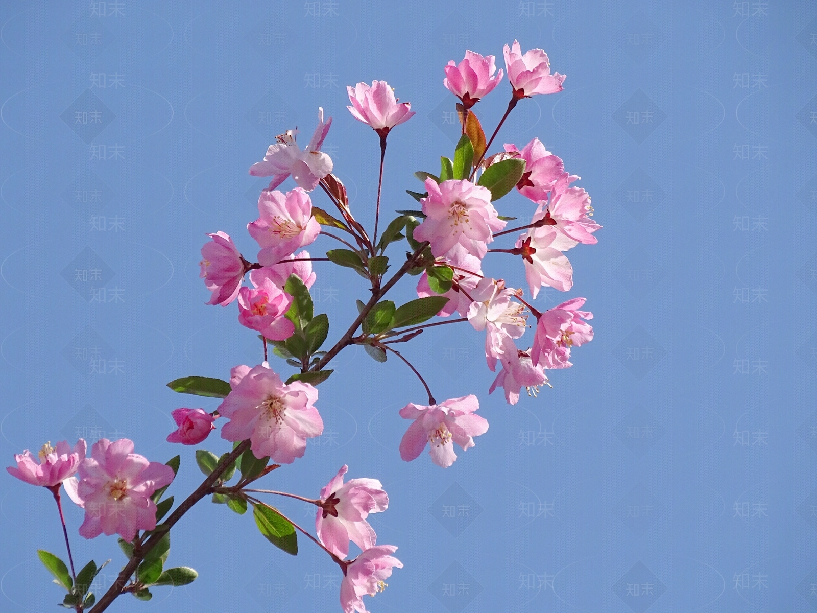 现代电子屏幕贴图下载【ID:1198185128】