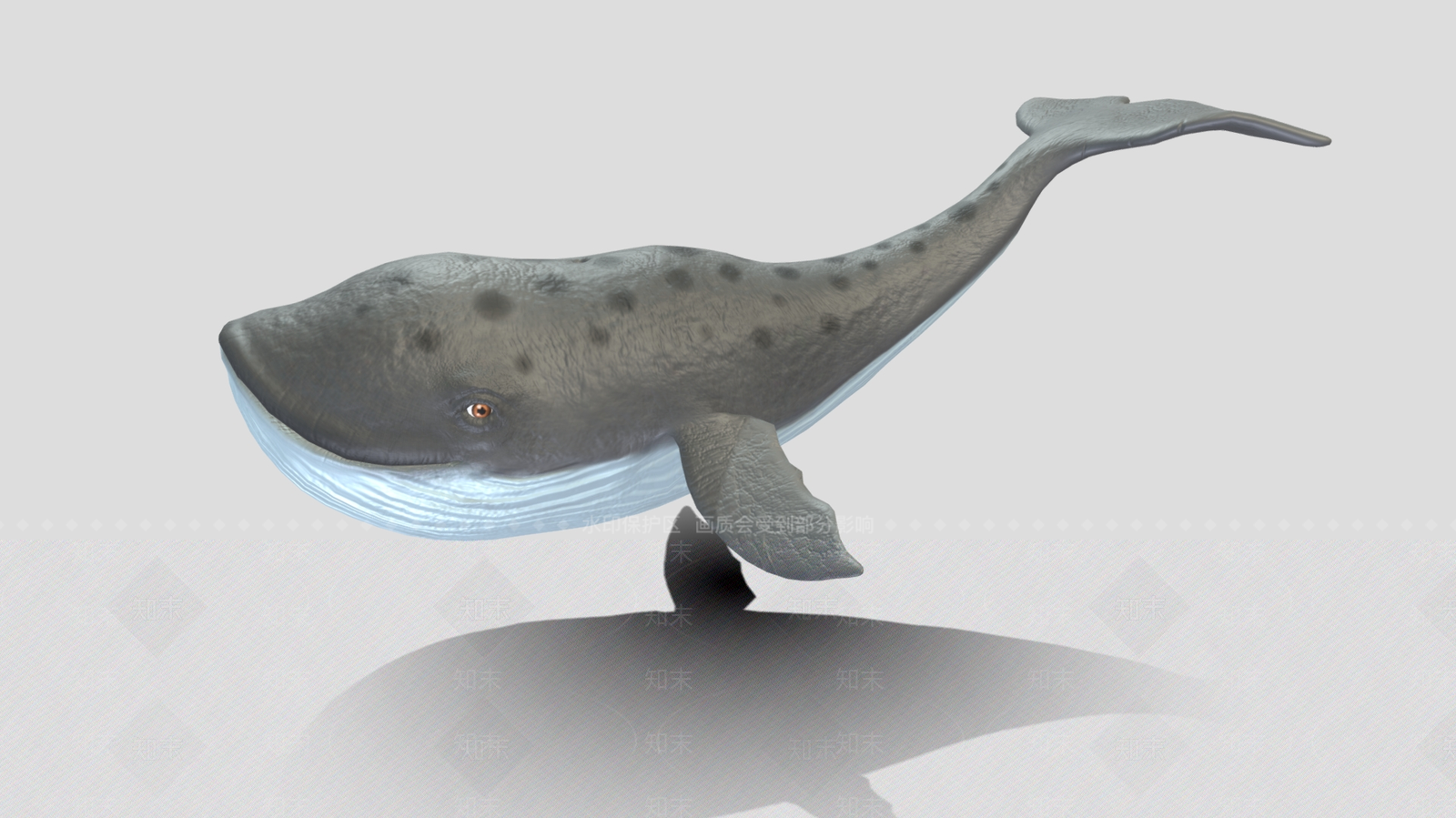 水生类动物3D模型下载【ID:1198207975】