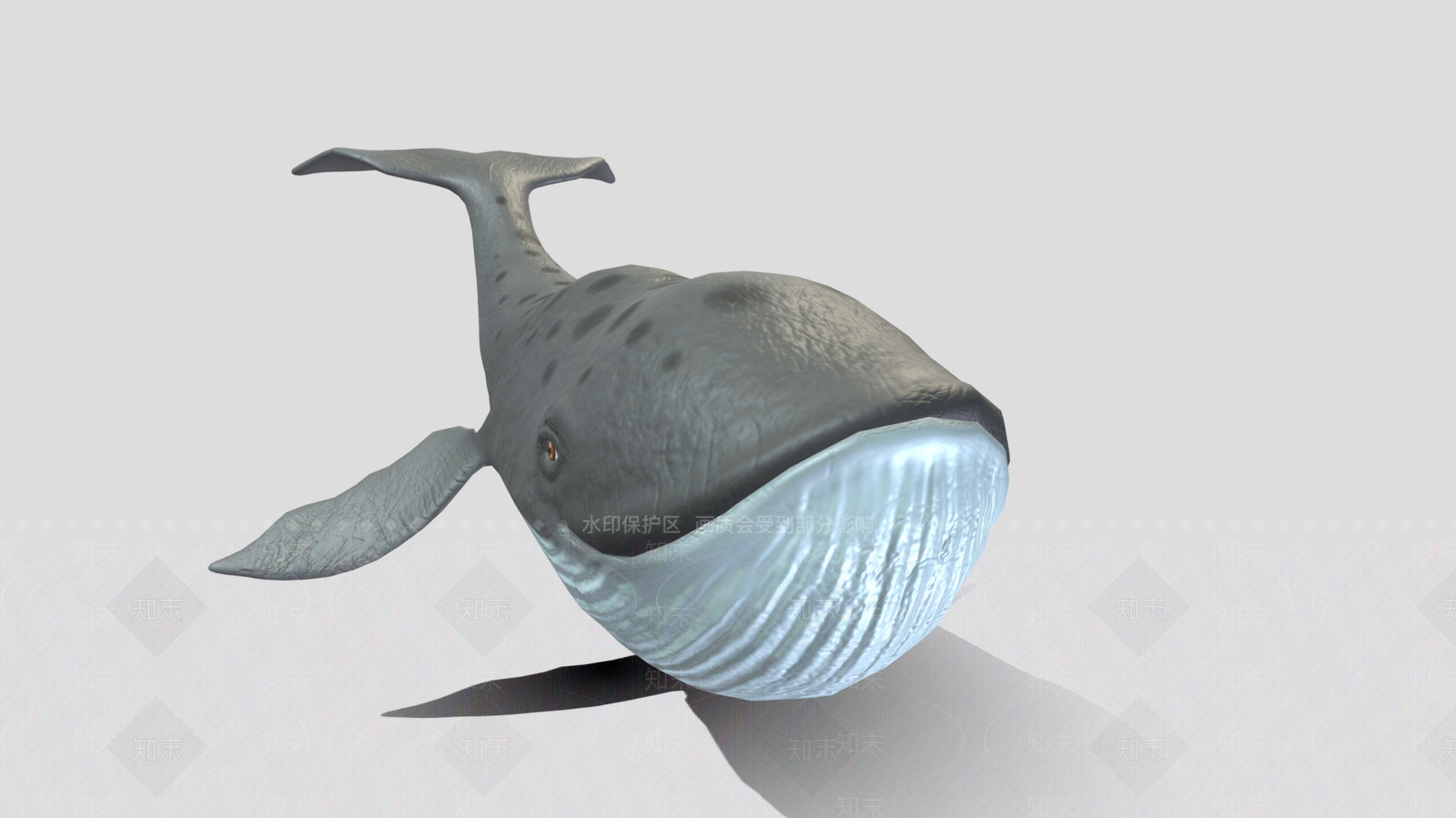水生类动物3D模型下载【ID:1198207975】