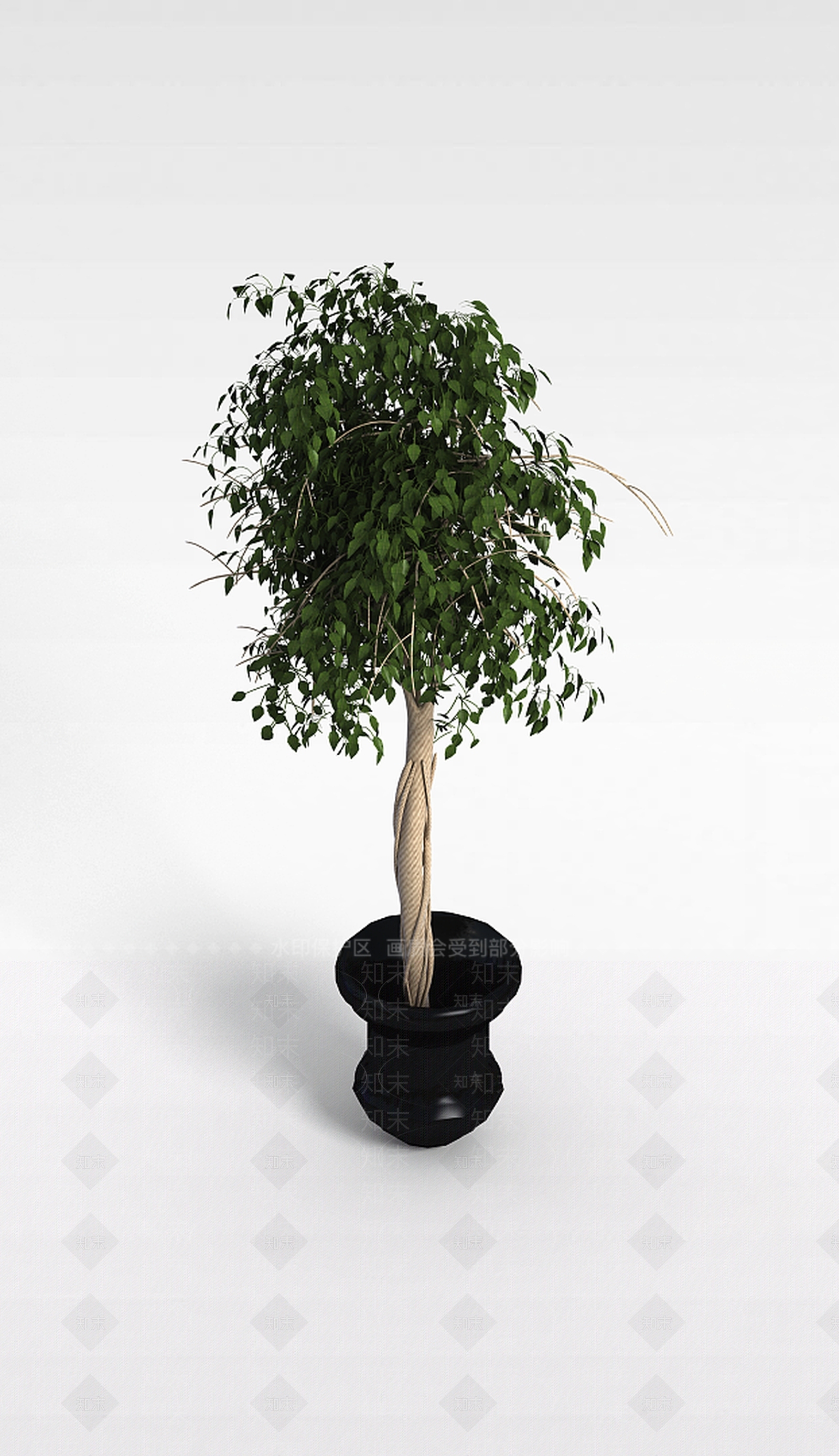 现代室内盆栽3D模型下载【ID:1198217872】