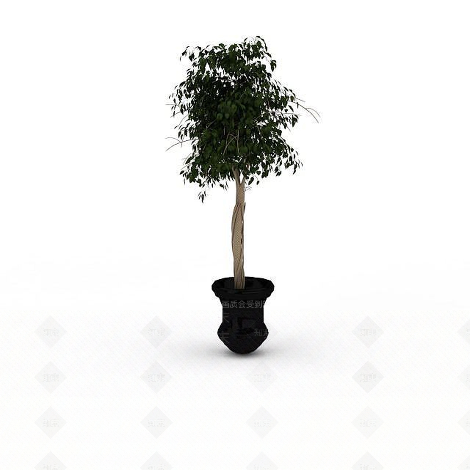 现代室内盆栽3D模型下载【ID:1198217872】