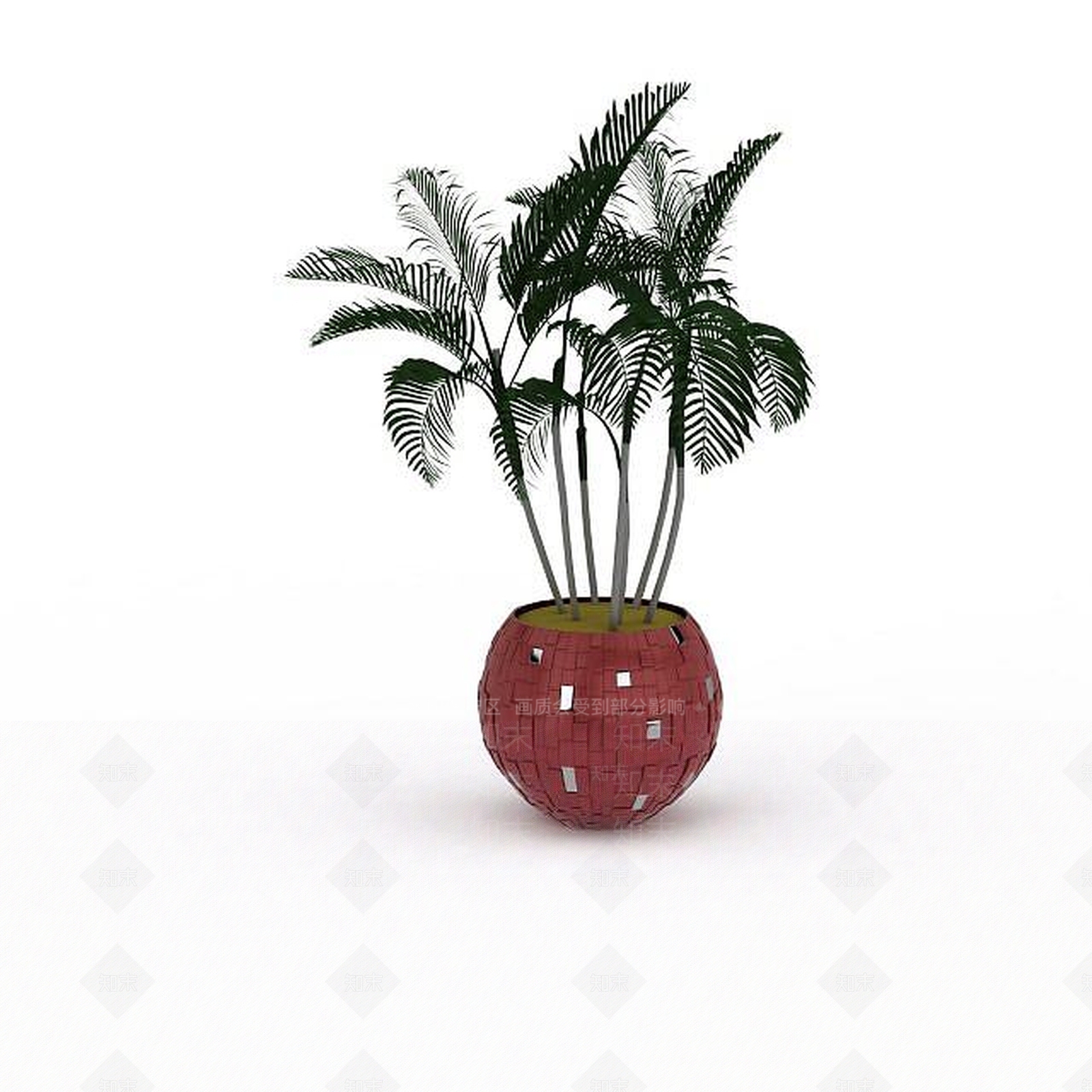 现代袖珍椰子树3D模型下载【ID:1198225119】