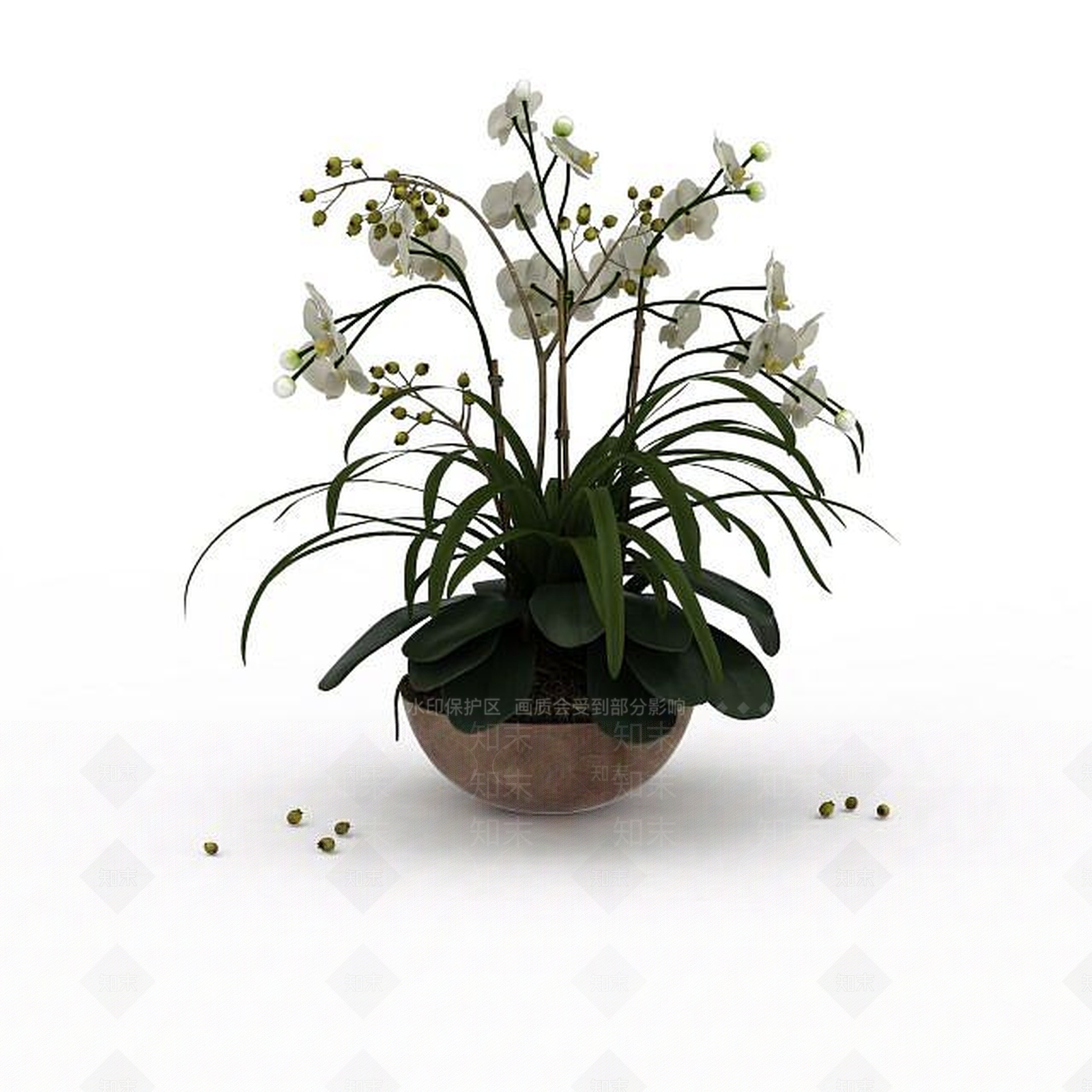 现代室内花草3D模型下载【ID:1198227491】