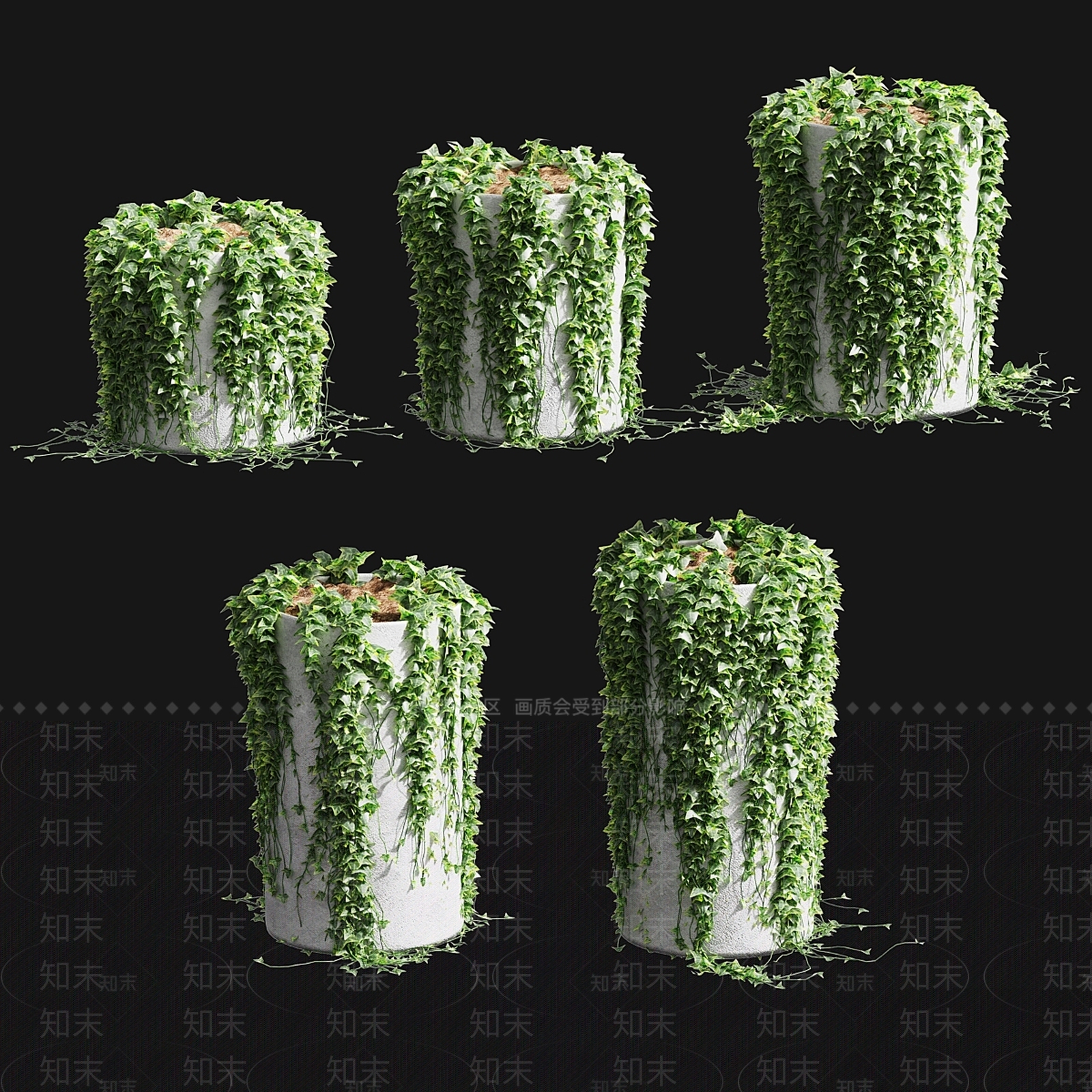 其他绿植3D模型下载【ID:1198266853】