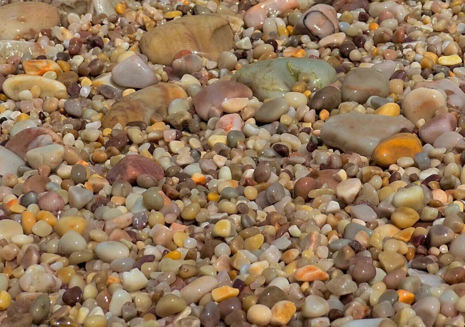 现代自然地面贴图下载【ID:1198274190】