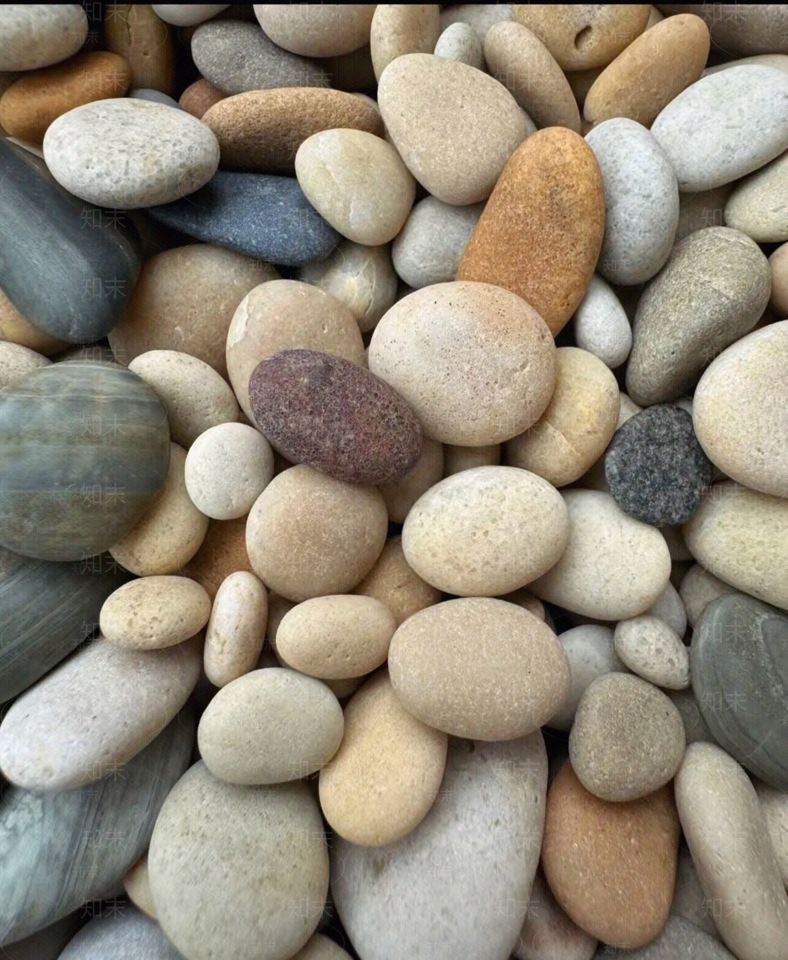 现代自然地面贴图下载【ID:1198274411】