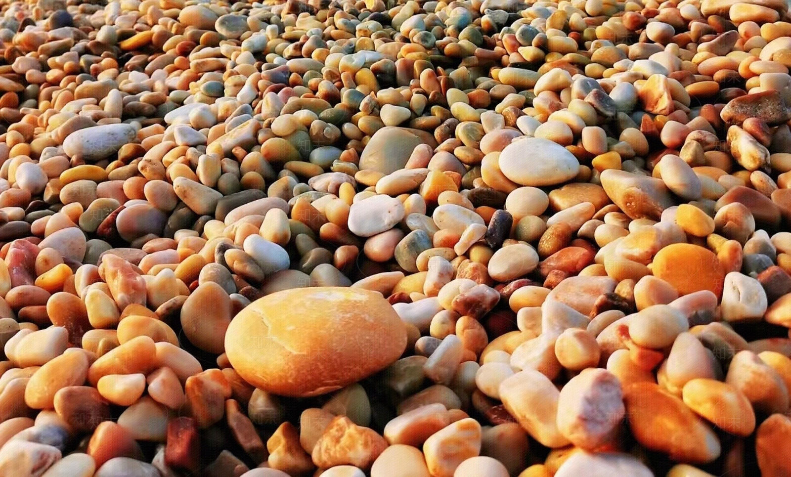 现代其它地面贴图下载【ID:1198274551】