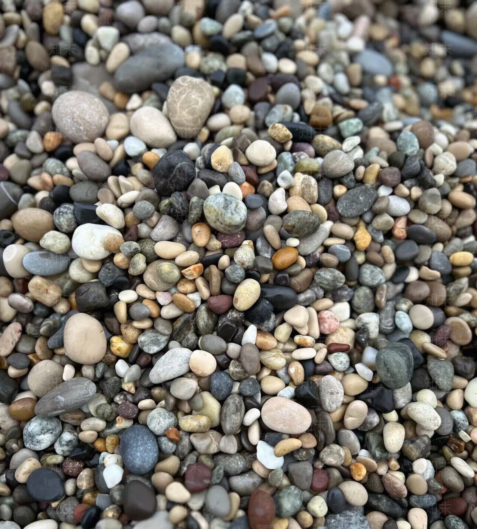 现代其它地面贴图下载【ID:1198276120】