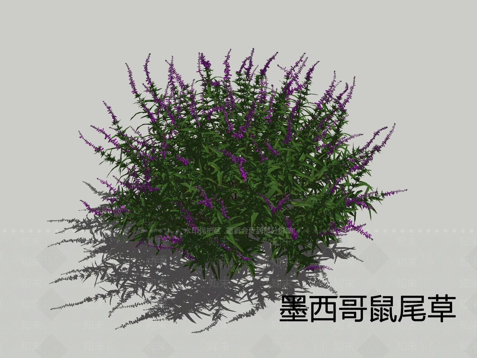 花草SU模型下载【ID:1198306653】