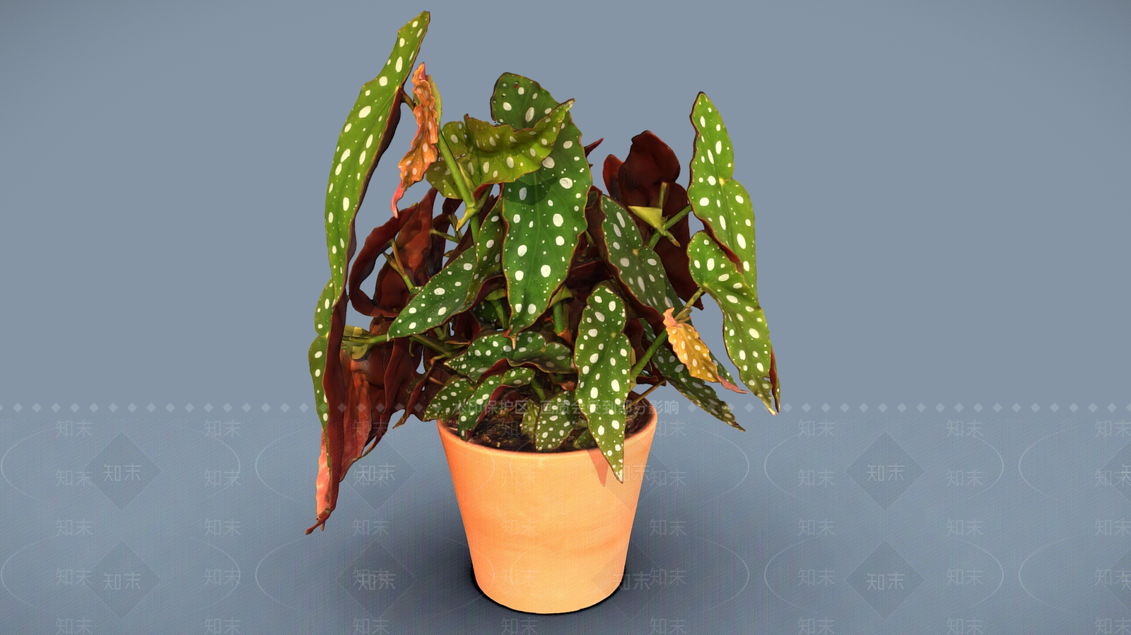 盆栽3D模型下载【ID:1198340036】