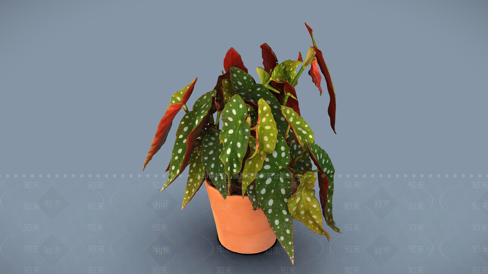 盆栽3D模型下载【ID:1198340036】