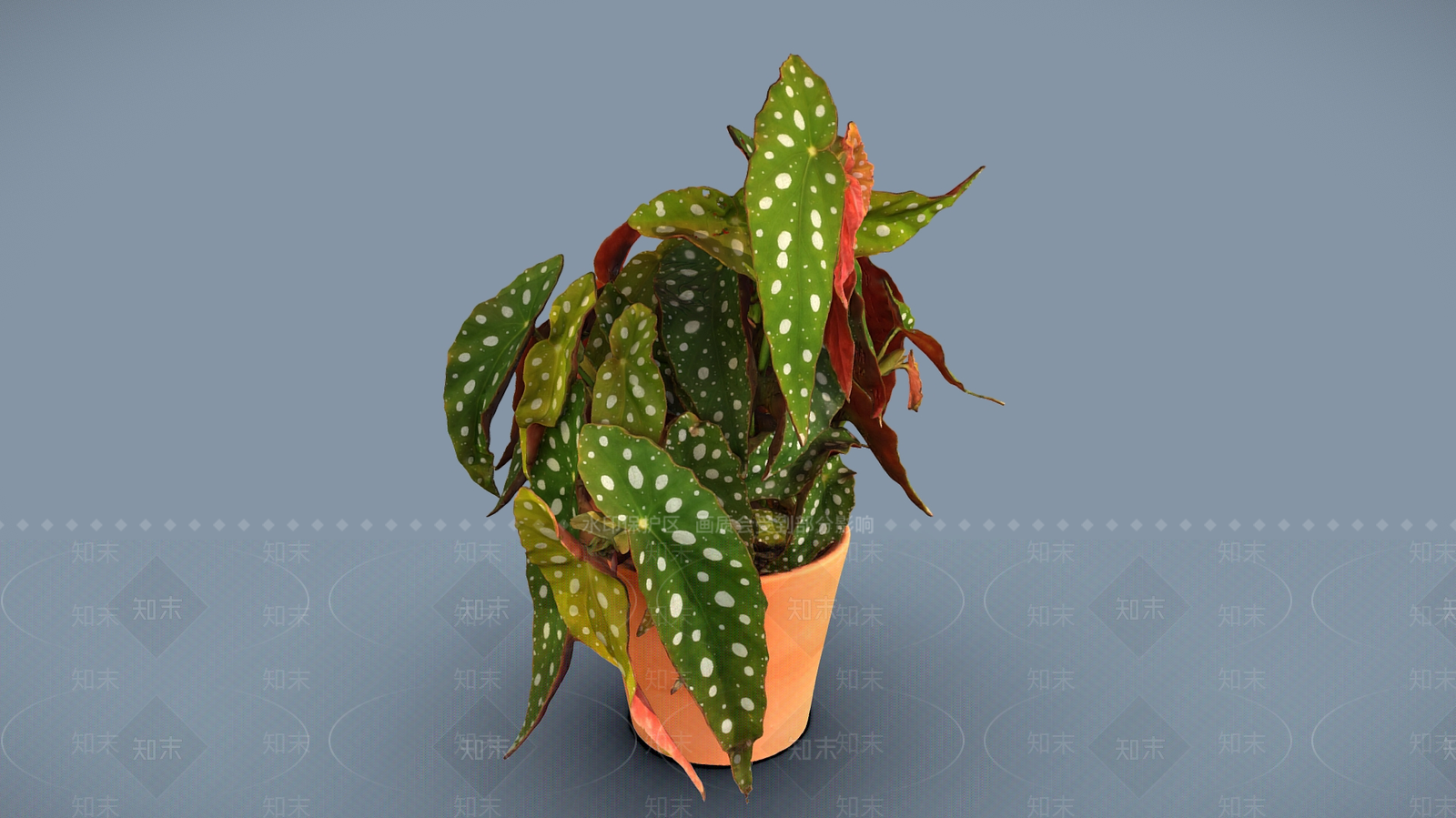 盆栽3D模型下载【ID:1198340036】