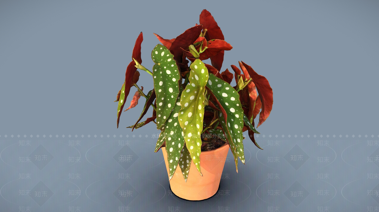 盆栽3D模型下载【ID:1198340036】