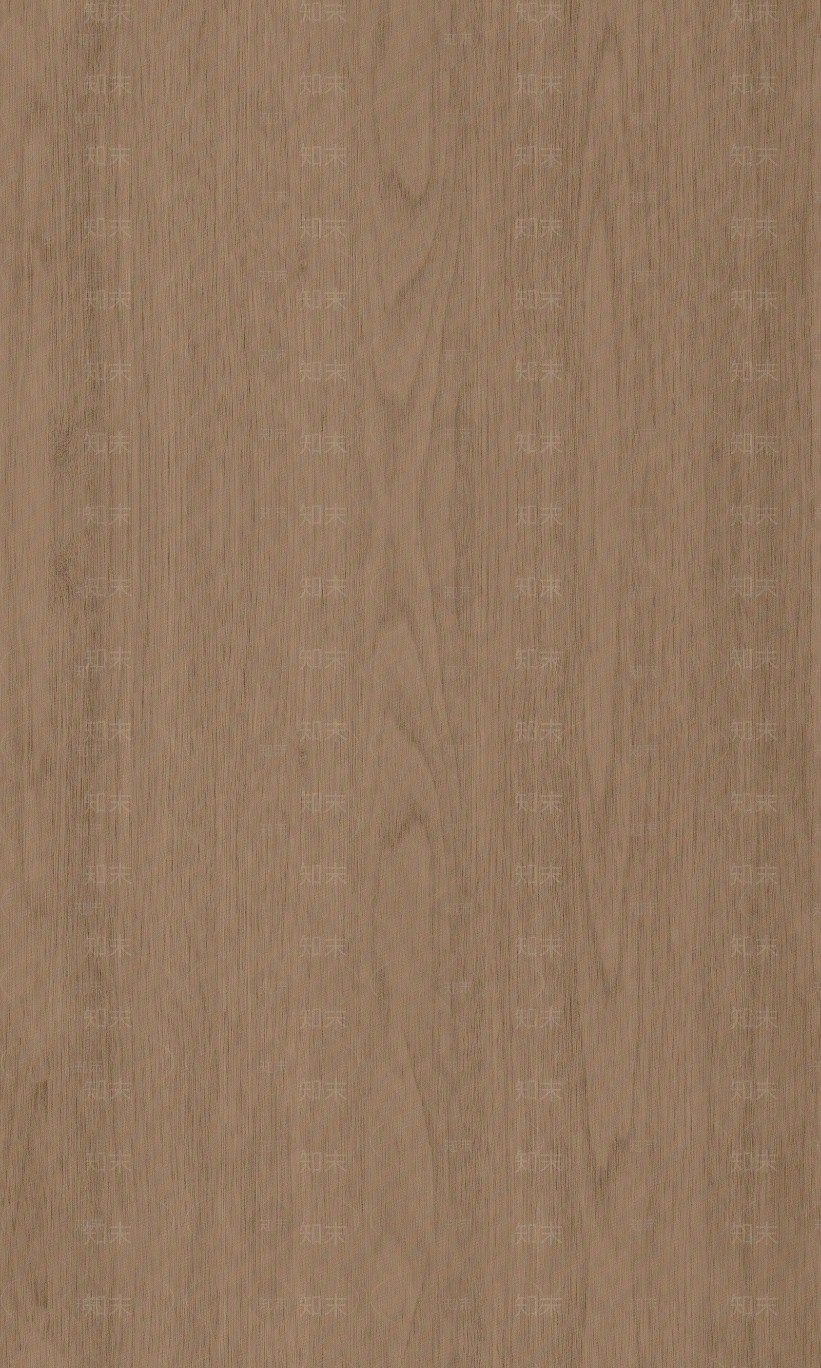 现代中古胡桃木贴图下载【ID:1198347441】