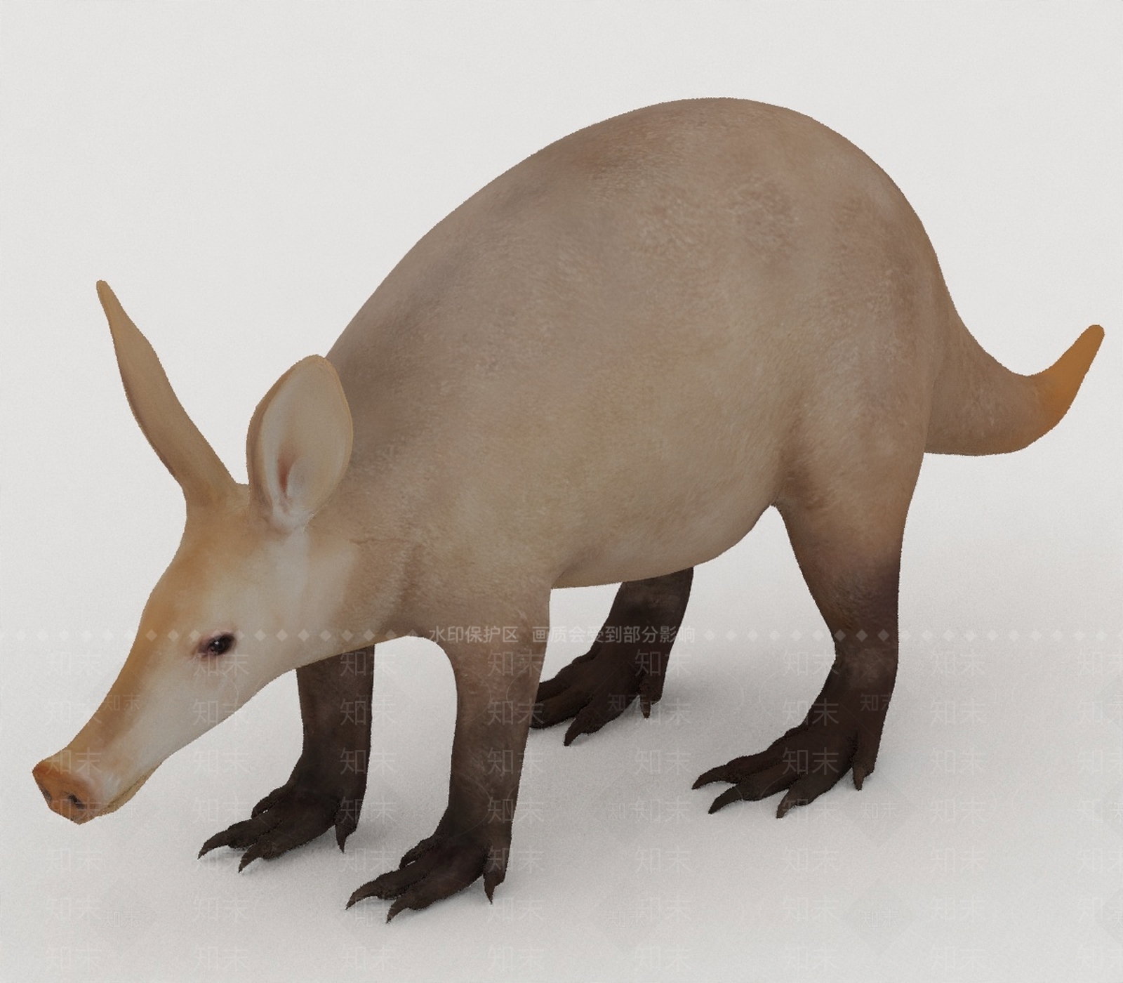 其他动物3D模型下载【ID:1198347793】