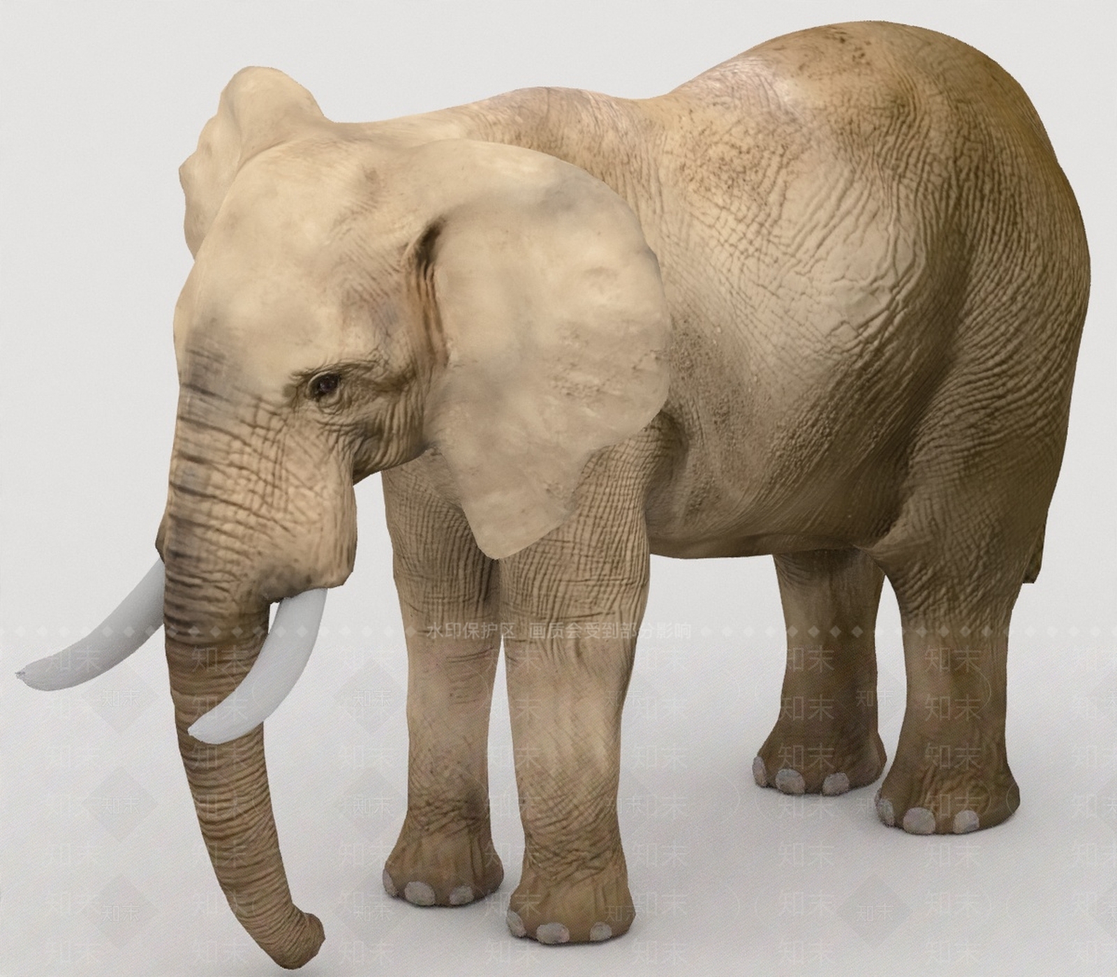 其他动物3D模型下载【ID:1198347865】