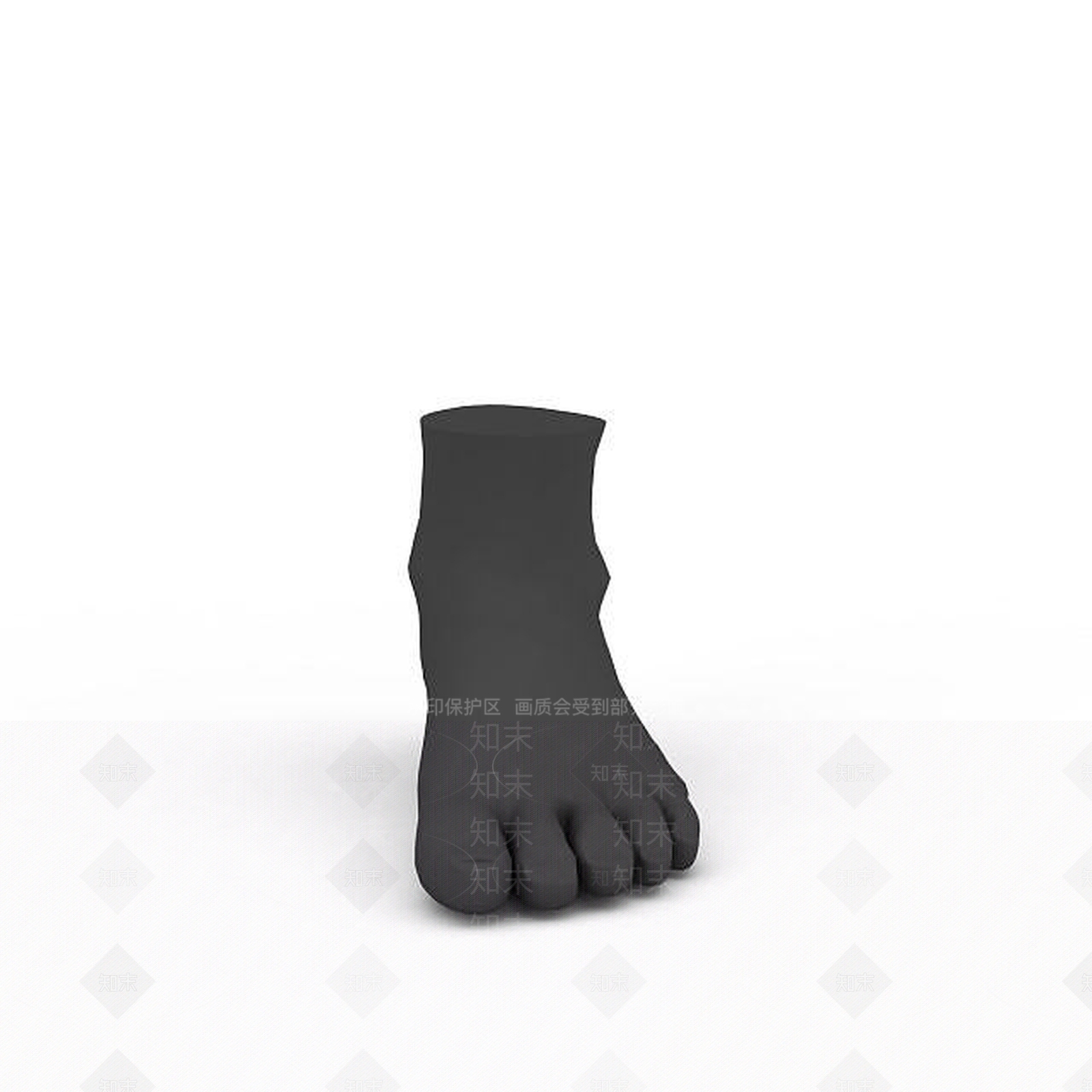 脚趾3D模型下载【ID:1198365868】