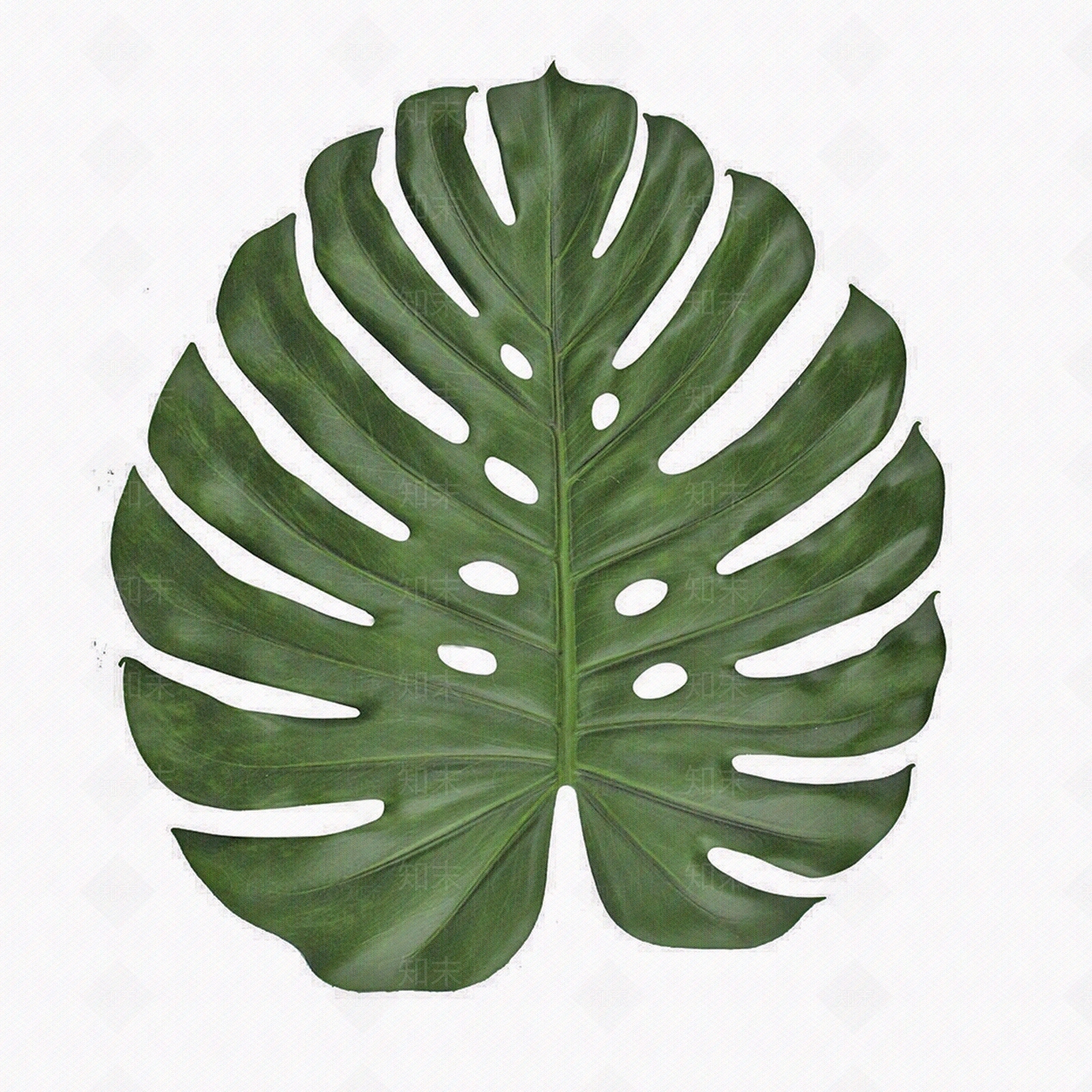 现代原木叶片纹理贴图下载【ID:1198400156】