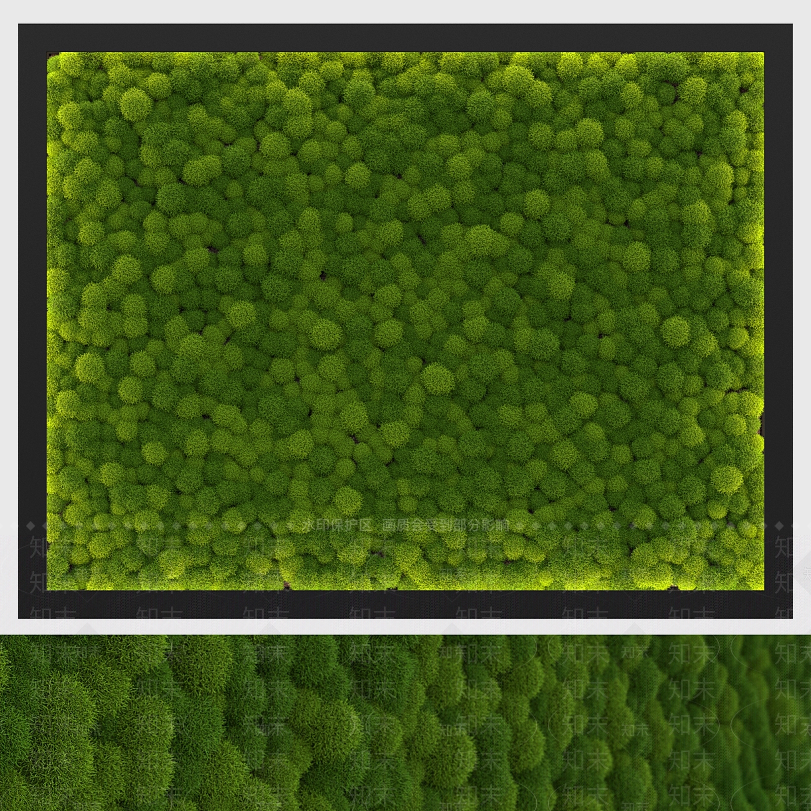 绿植墙3D模型下载【ID:1198436036】