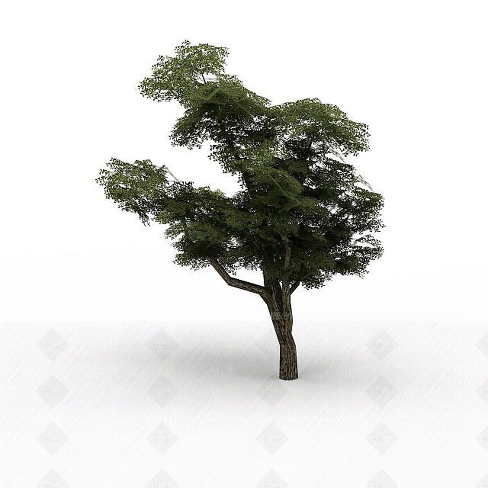 现代景观树3D模型下载【ID:1198465365】