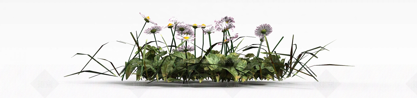 现代花草3D模型下载【ID:1198608585】