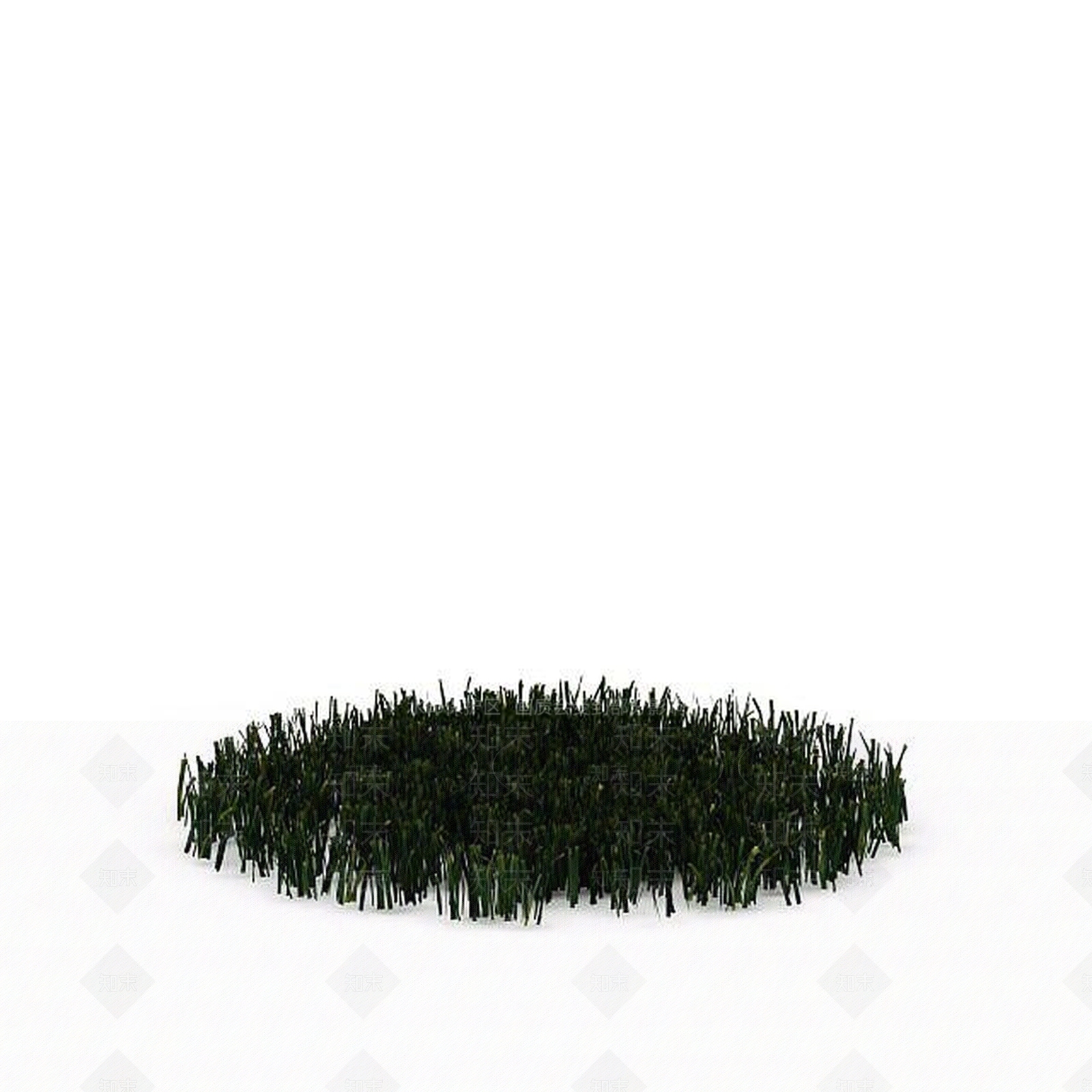 现代植物3D模型下载【ID:1198608166】