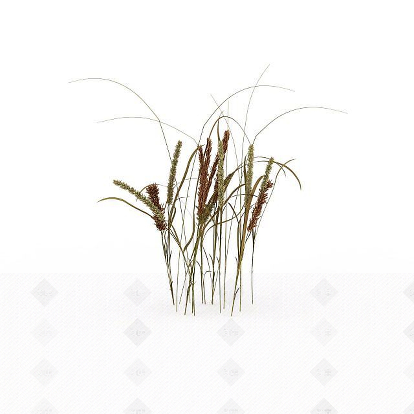 现代花草3D模型下载【ID:1198608105】