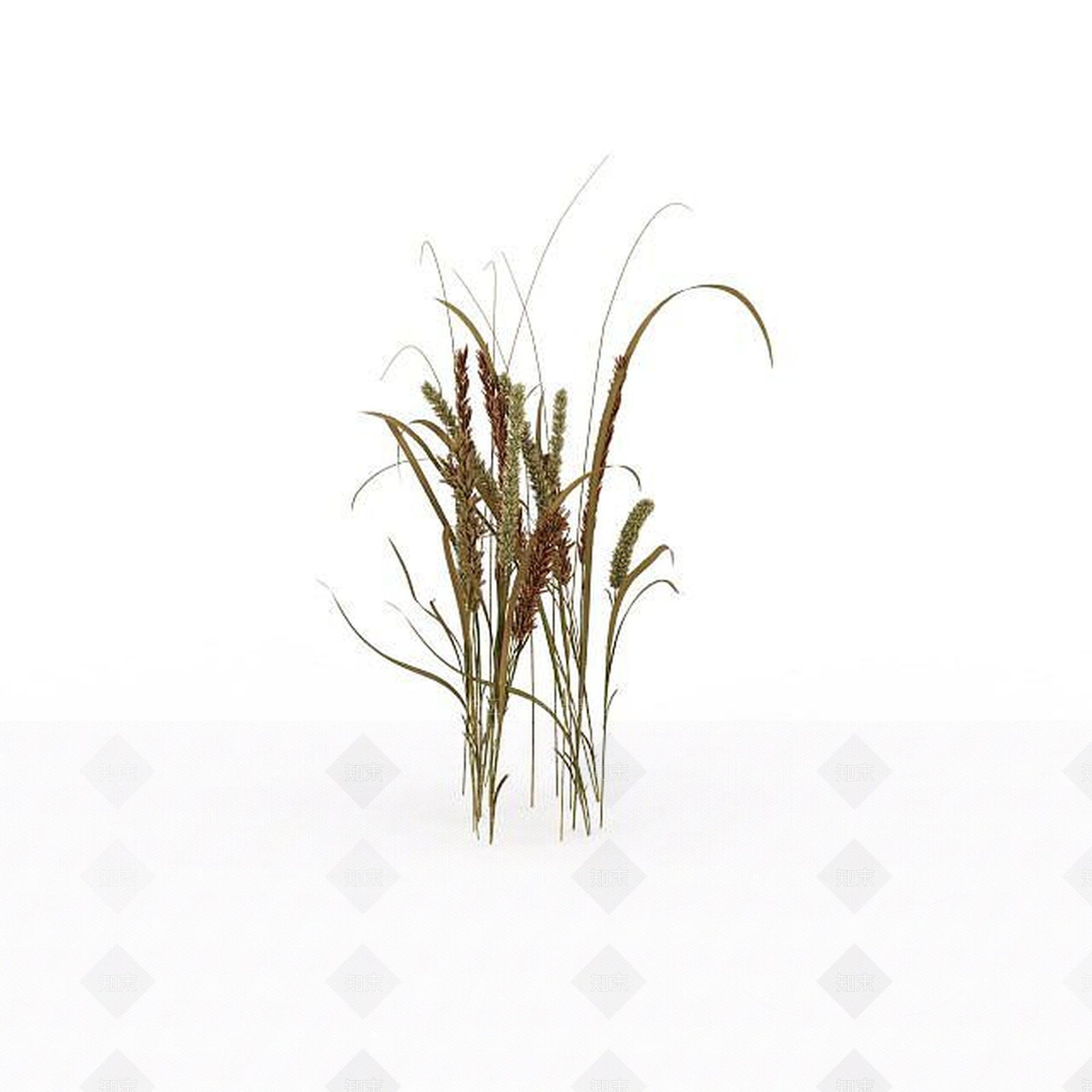 现代花草3D模型下载【ID:1198608105】