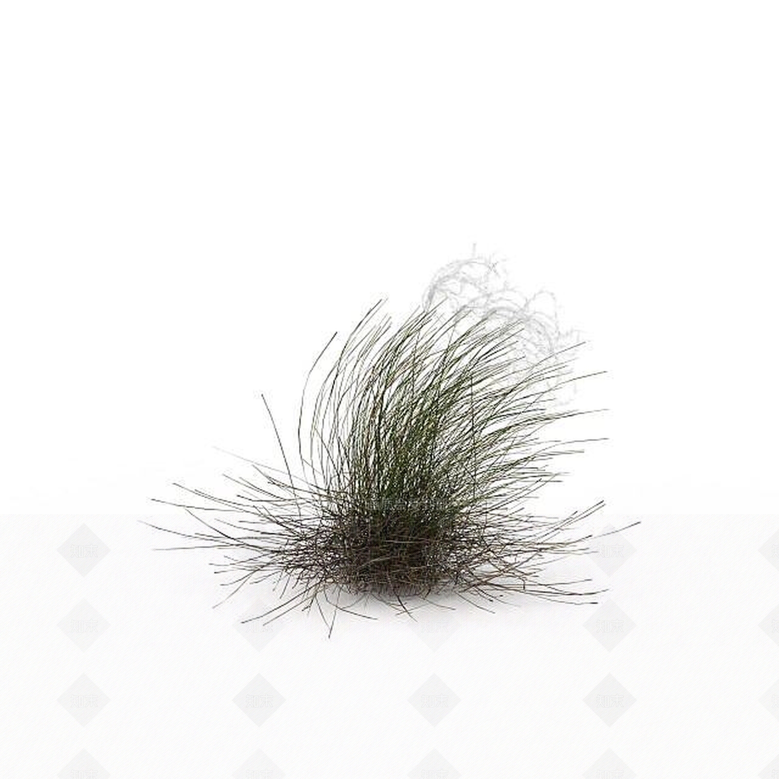 现代装饰植物3D模型下载【ID:1198608579】