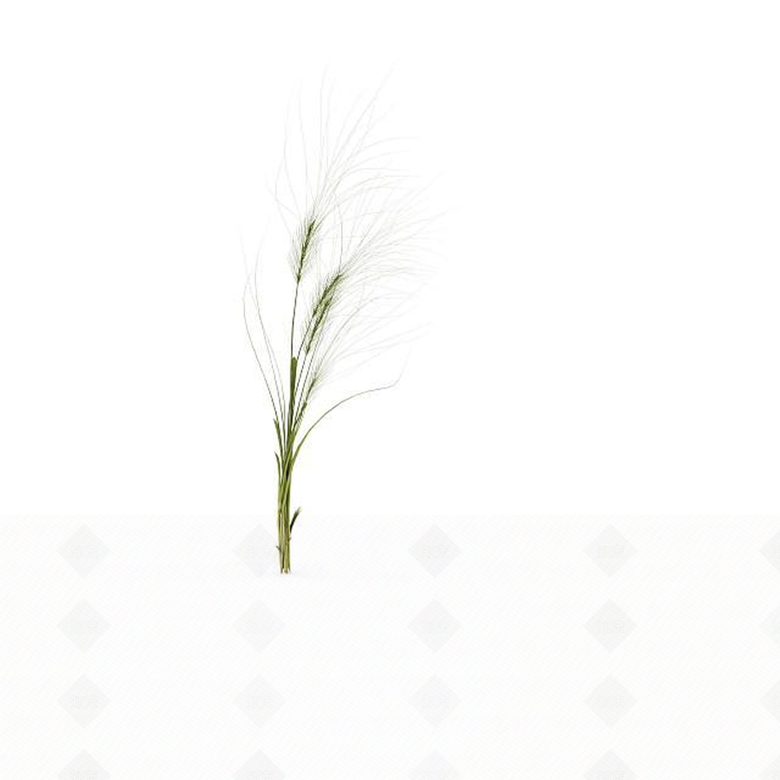 现代野草3D模型下载【ID:1198607560】