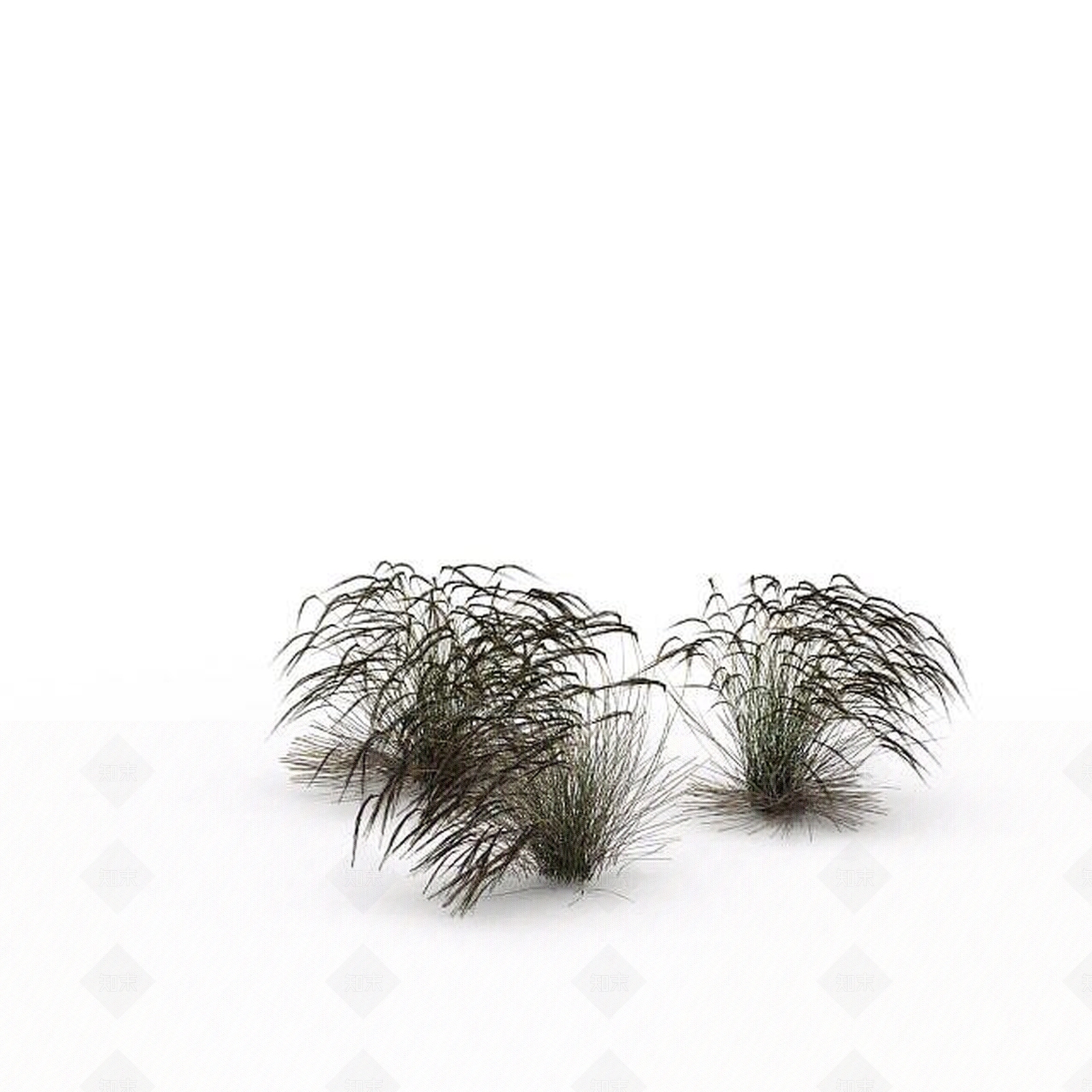 现代野草3D模型下载【ID:1198608877】