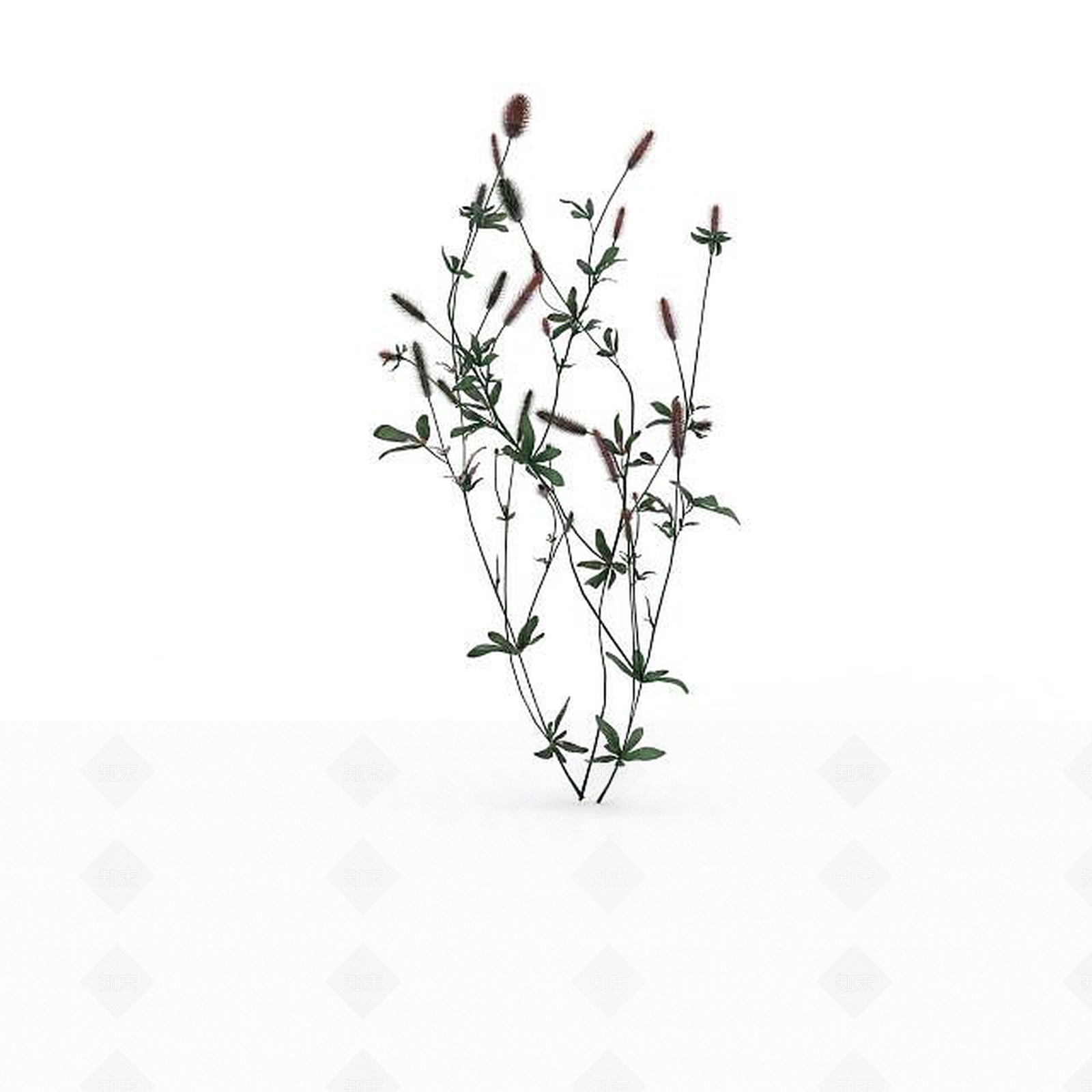 现代公园花草3D模型下载【ID:1198608869】