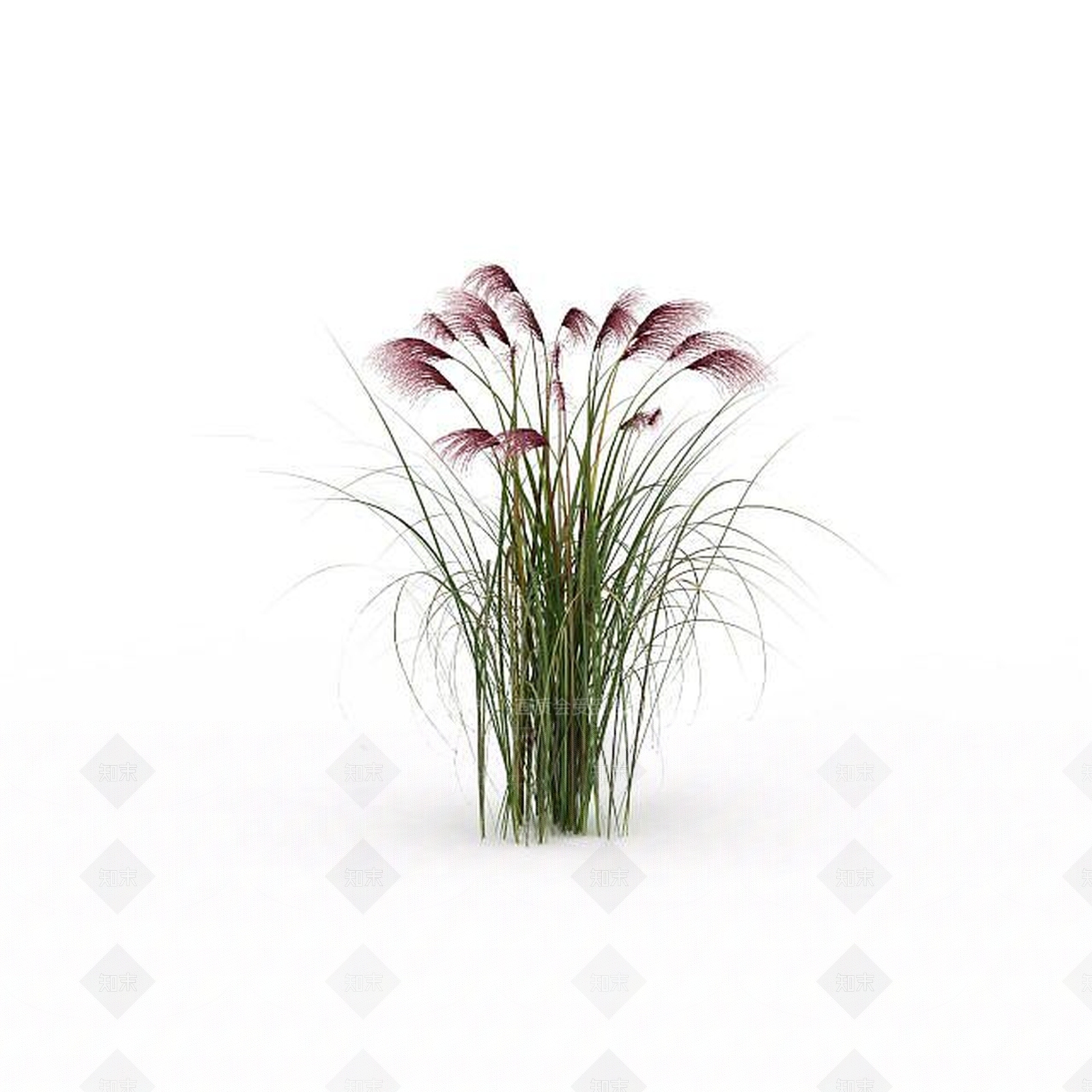 现代绿草3D模型下载【ID:1198608250】