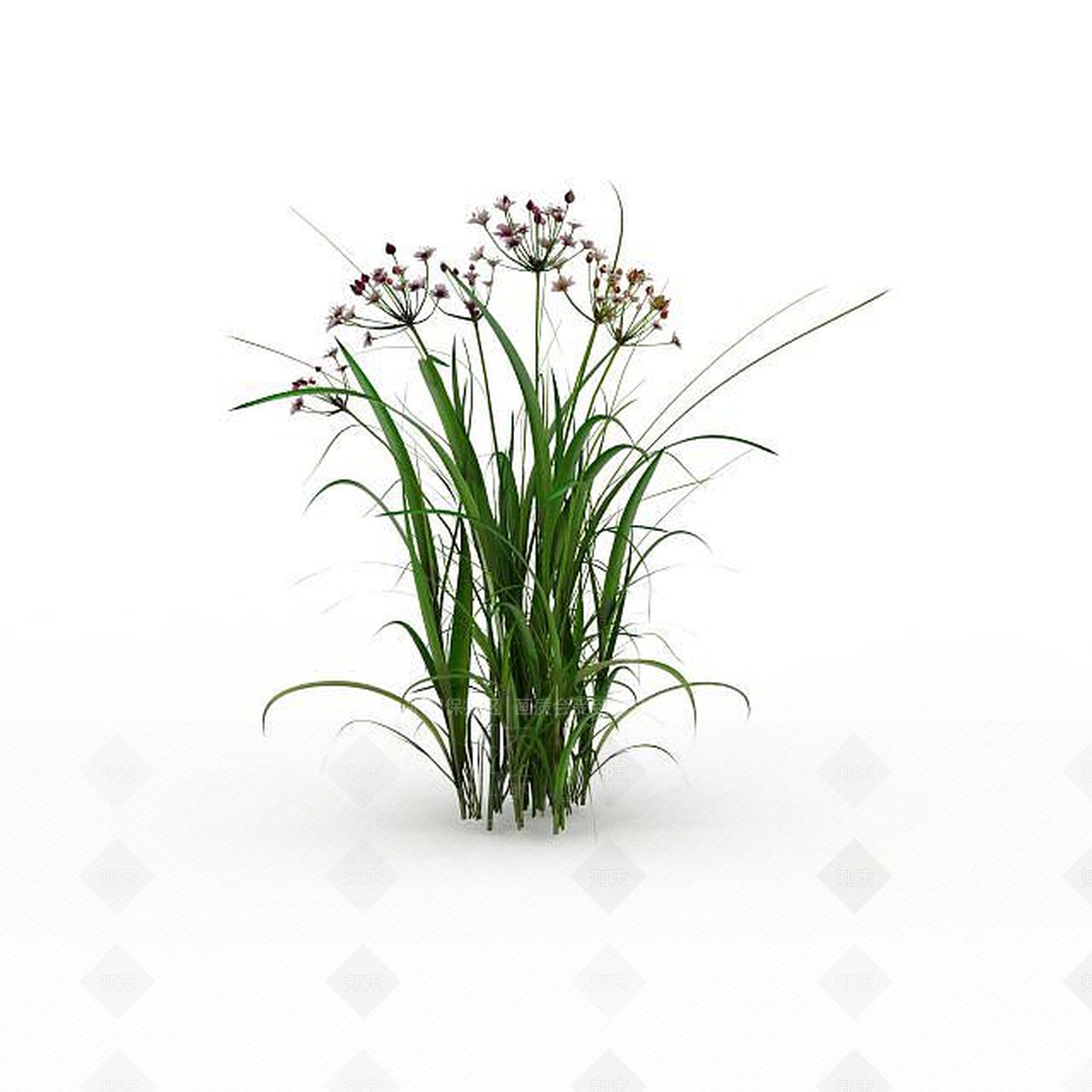 现代绿色野草3D模型下载【ID:1198608149】