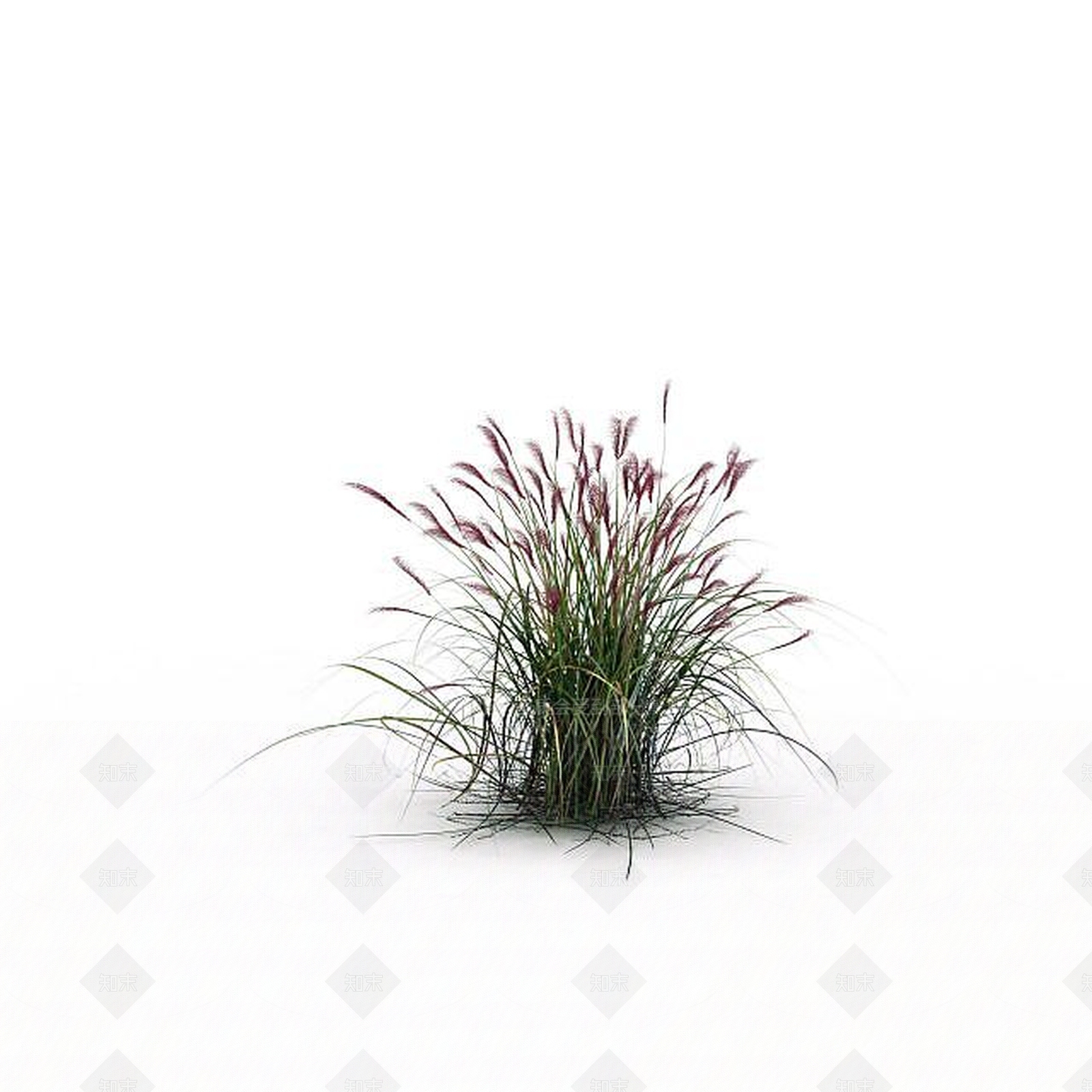 现代花3D模型渲染效果图