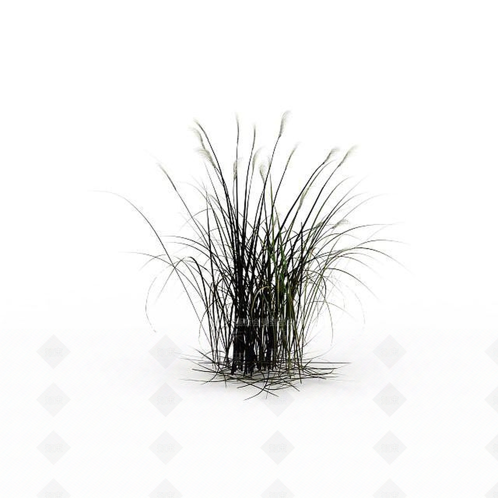 现代冬草3D模型下载【ID:1198608272】