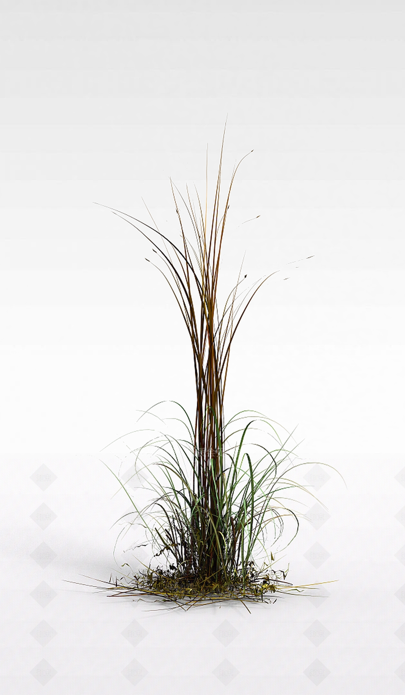 现代野草3D模型下载【ID:1198608254】