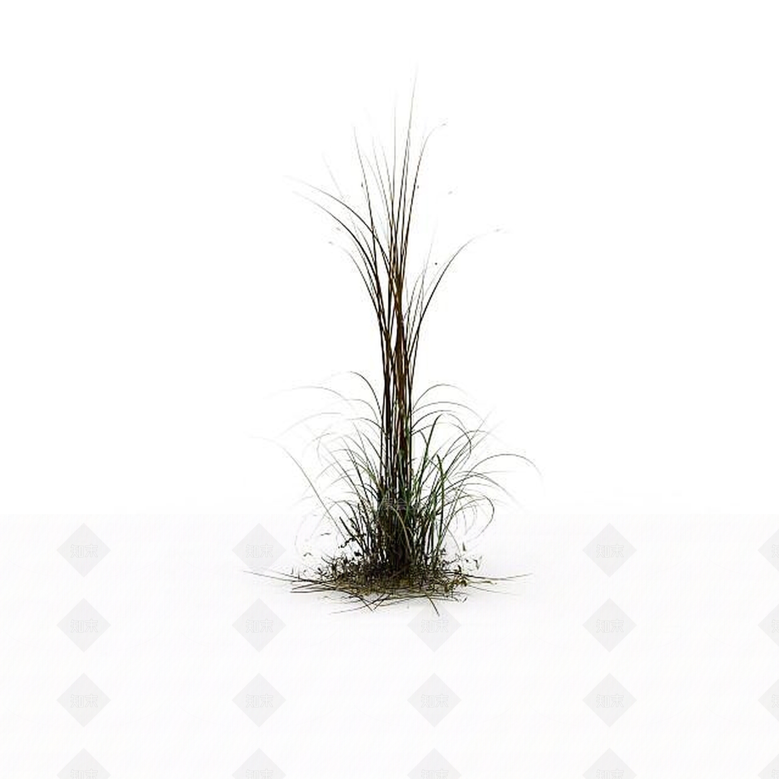 现代野草3D模型下载【ID:1198608254】