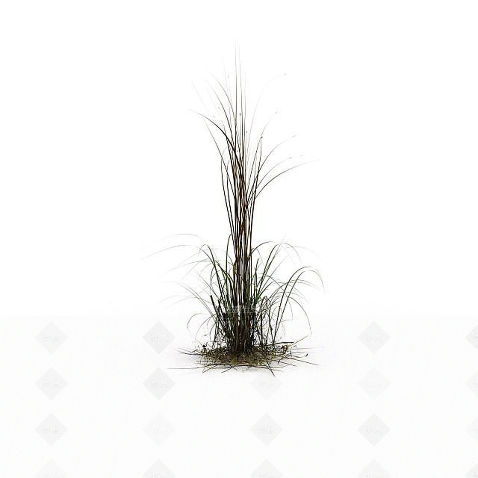 现代野草3D模型下载【ID:1198608254】